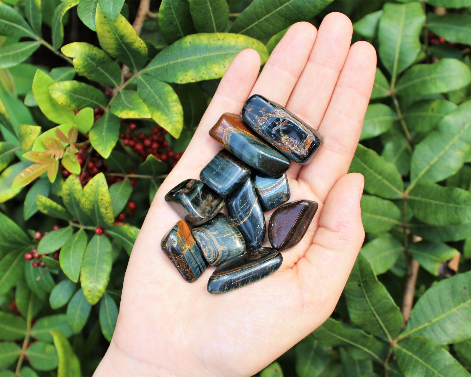 1/4 lb Bulk Lot Blue Tiger Eye Tumbled Stone Crystal Healing Reiki 4 oz