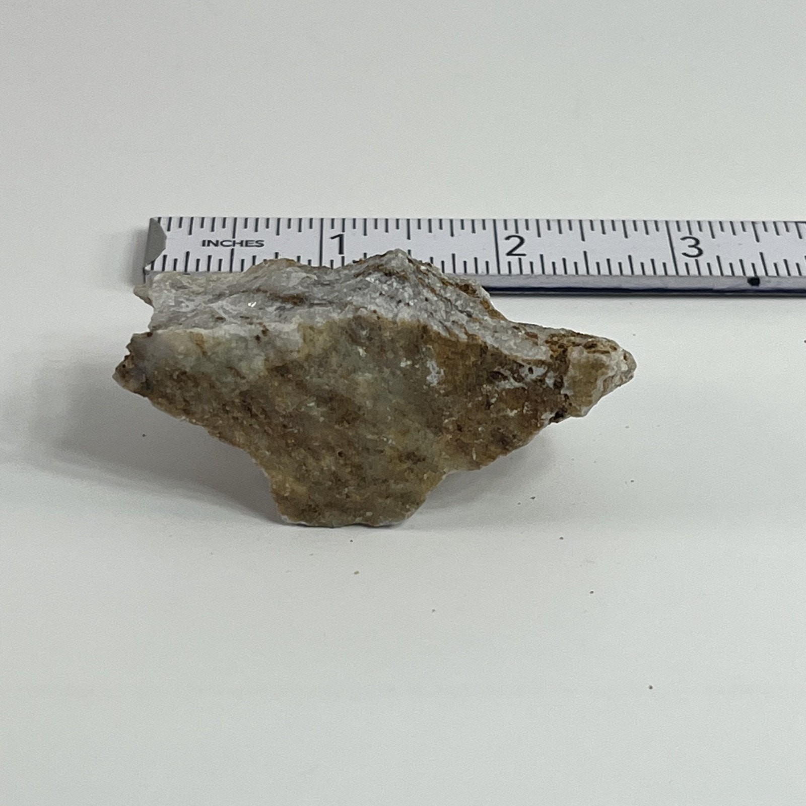 Vermiculated Rock Idaho Chas Mathews Geological Specimen Mineral Display