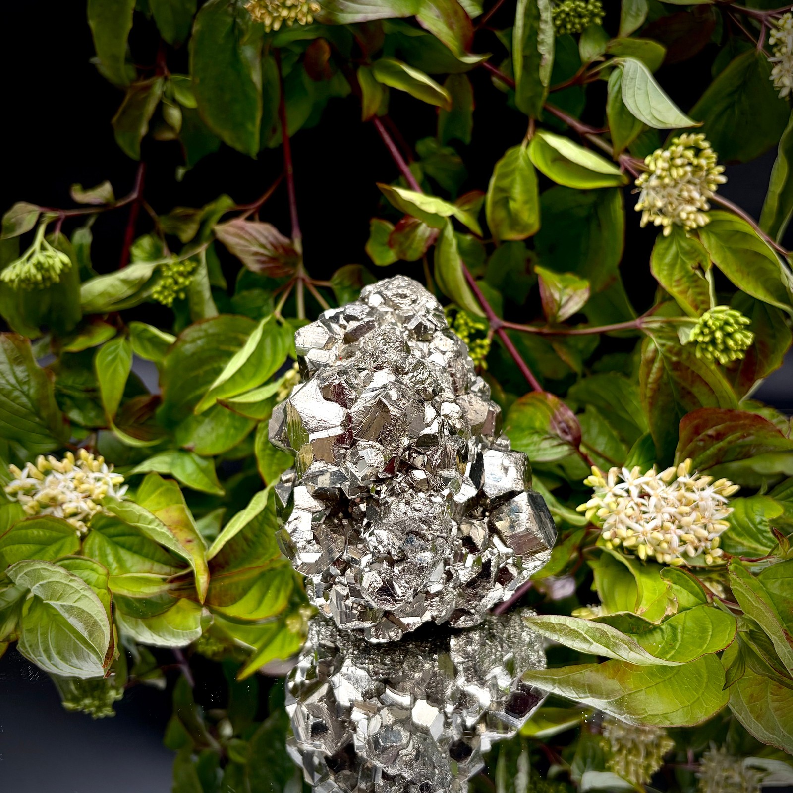 Large High-Grade AA Peruvian Pyrite Crystal Cluster #59 | Collectors Peruvian