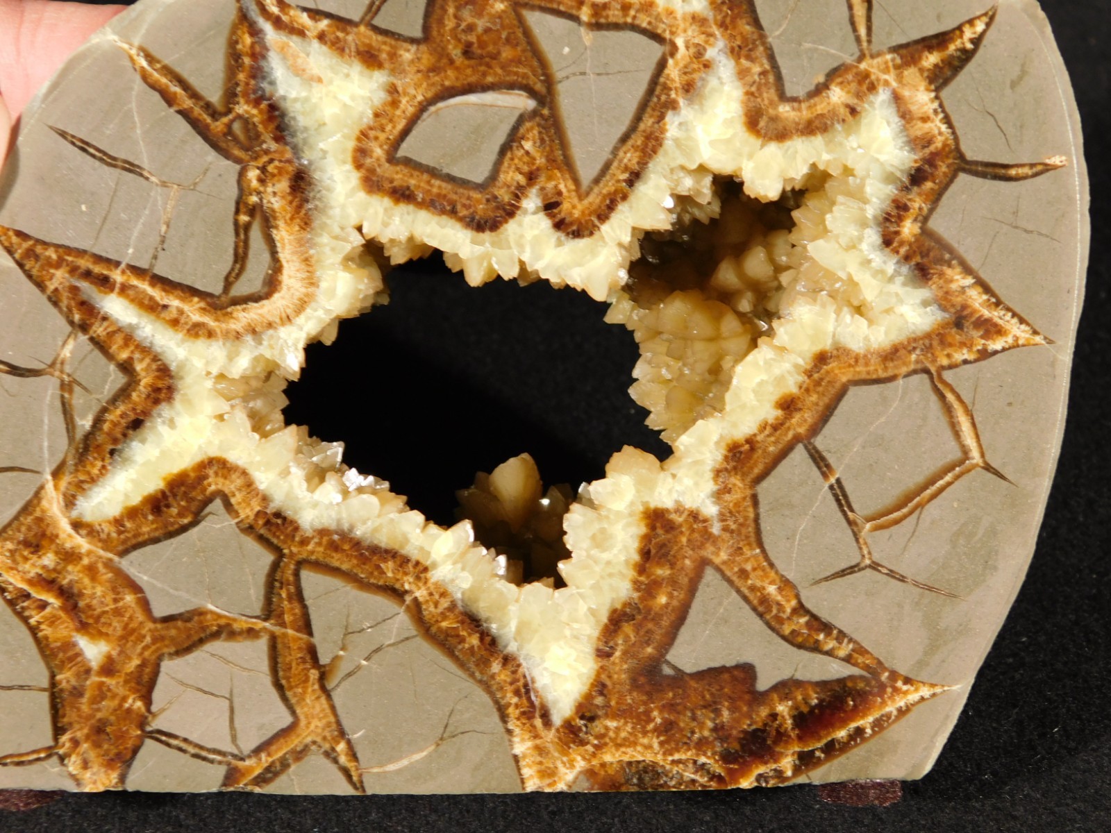 Big! Polished AAA Crystal Filled Hollow Septarian GEODE FREE Standing Utah 780gr