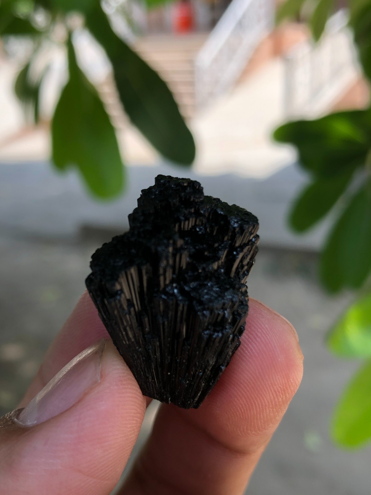 Black Tourmaline Termination Crystal Specimen From Pakistan 10.70 G