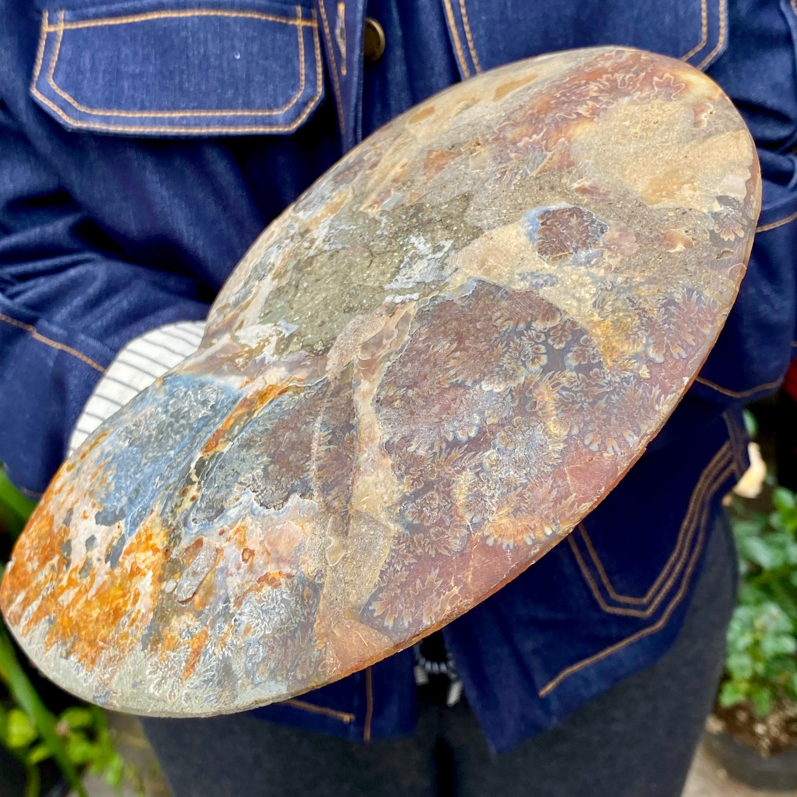 1.77LB Natural agate fossil snail shaped convex round gemstone