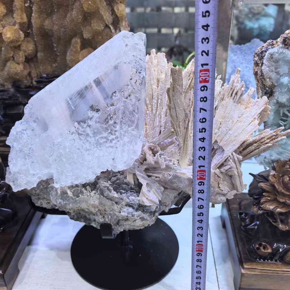 17LB Rare Natural Clear Selenite Gypsum Crystal Symbiosis Mineral Specimen