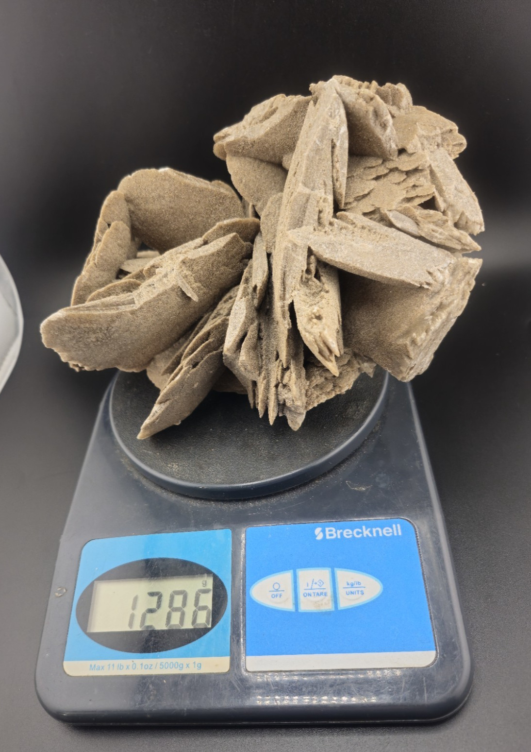 Hourglass Selenite Gypsum Crystal Cluster Oklahoma Old Stock 1286 Grams!