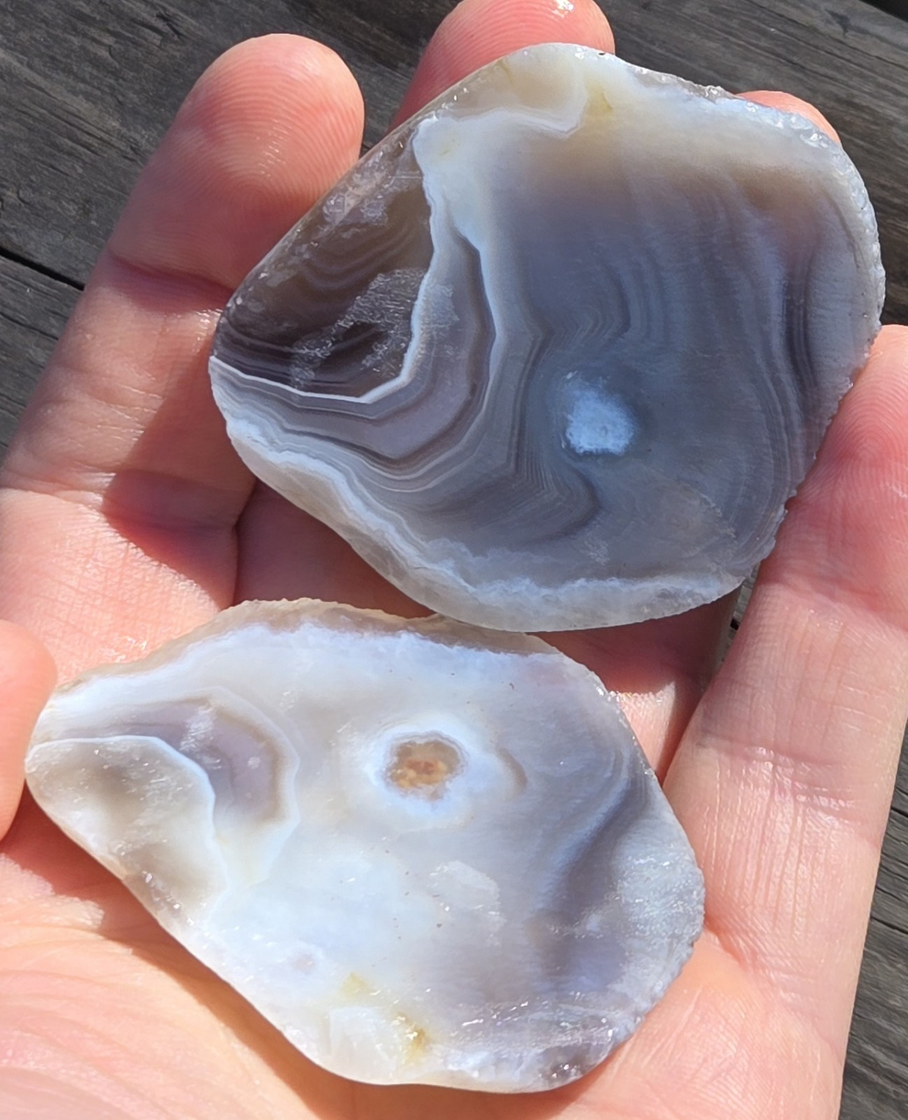 Botswana Agate Cut In Half – Rough, Natural, Not Polished