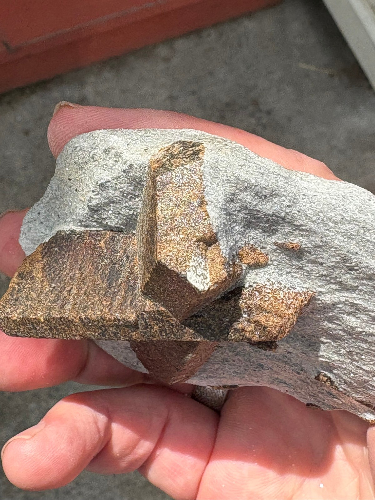 Staurolite, “fairy cross”, Keivy Mountains, Kola Peninsula, Russia