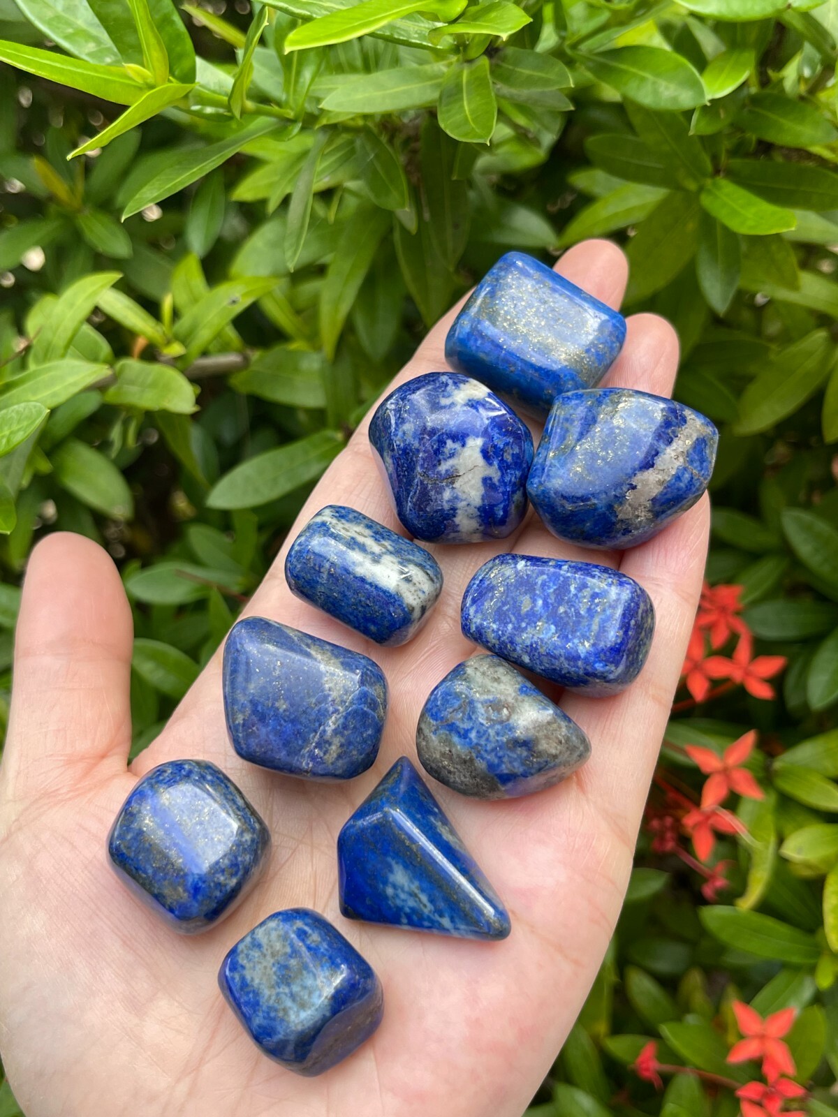 Grade A++ Lapis Lazuli Tumbled Stone, 0.75-1 Inch Lapis Crystals, Wholesale Bulk