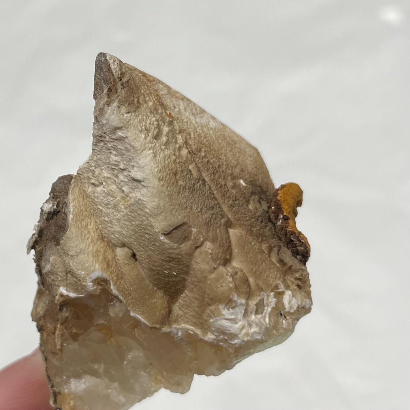 Calcite Crystal From Estill Co KENTUCKY USA 30g