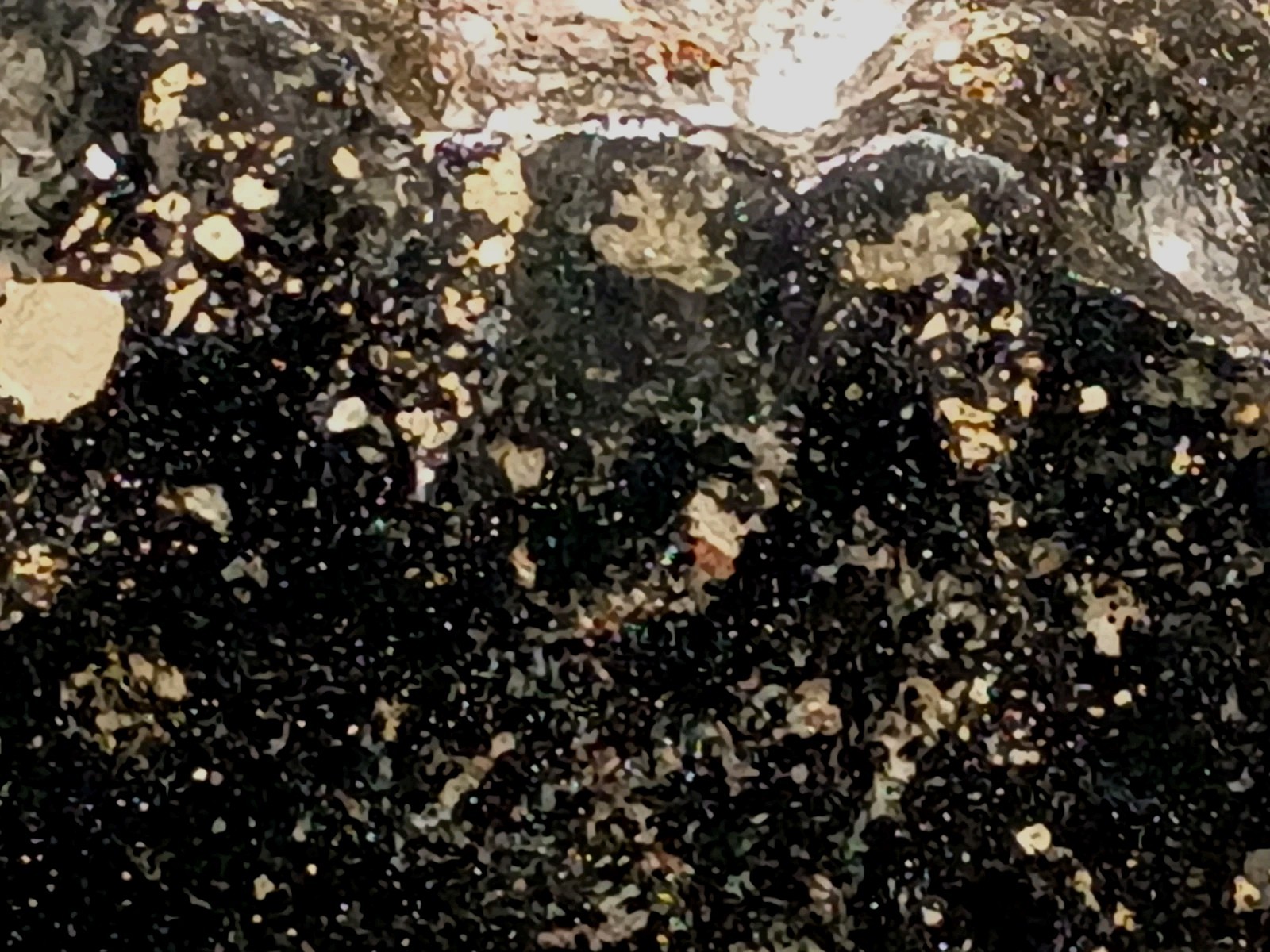 1420g Pilot Knob MO Amphibole Quartz Pyrite Magnetite Specularite Polished