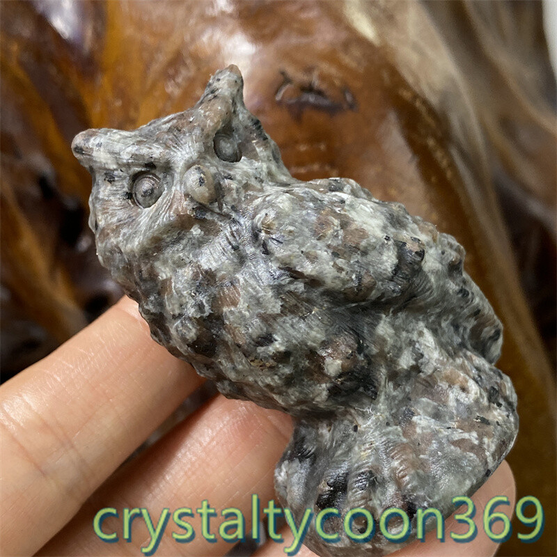 2.3″ Natural Yooperlite Quartz Crystal Skull Hand Carving Owl Reiki Healing 1pc