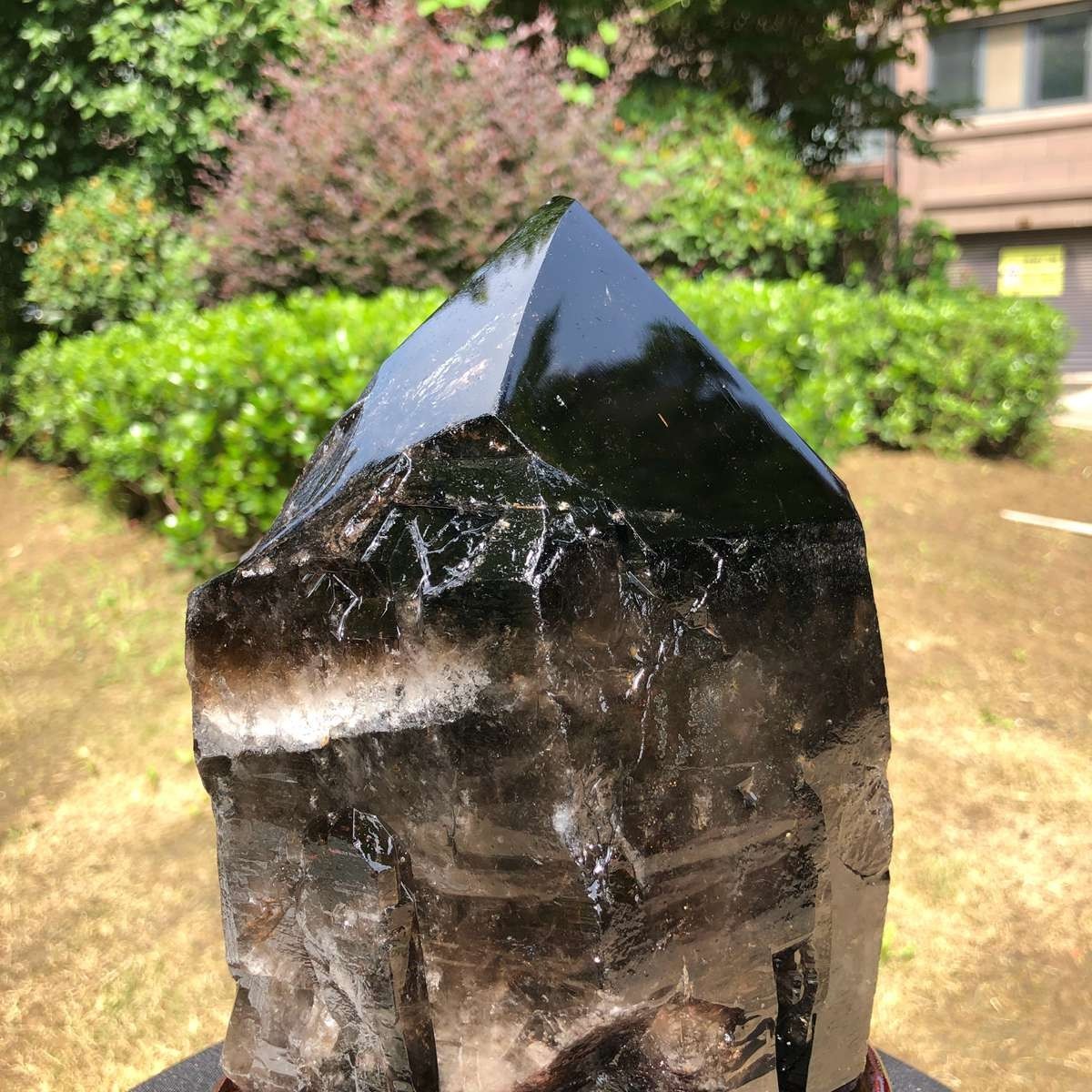 12.78LB Natural Dark tea quartz Crystal Specimen Reiki Mineral Add bracket 1810