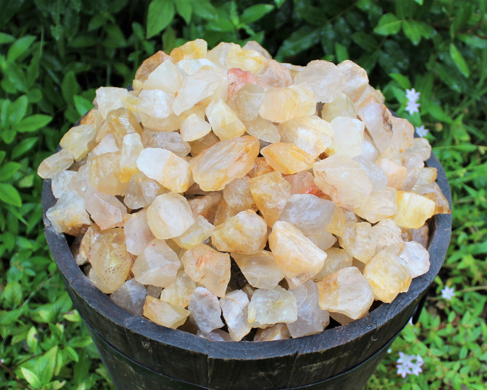 Golden Healer Quartz Rough Natural Crystals Wholesale Lots (Raw Golden Quartz)