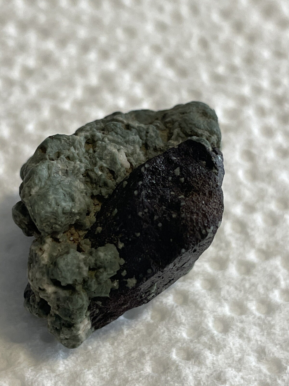 Neptunite Embedded In Blue/green Schist Ore