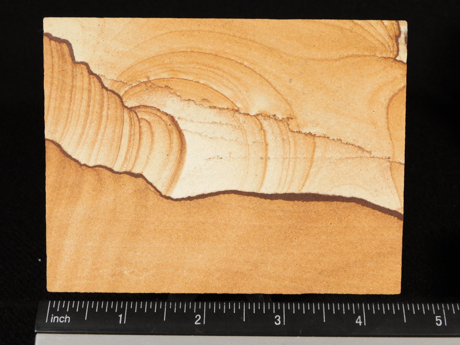 PICTURE Stone or SANDSTONE Slab with Display Stand From Utah 260gr