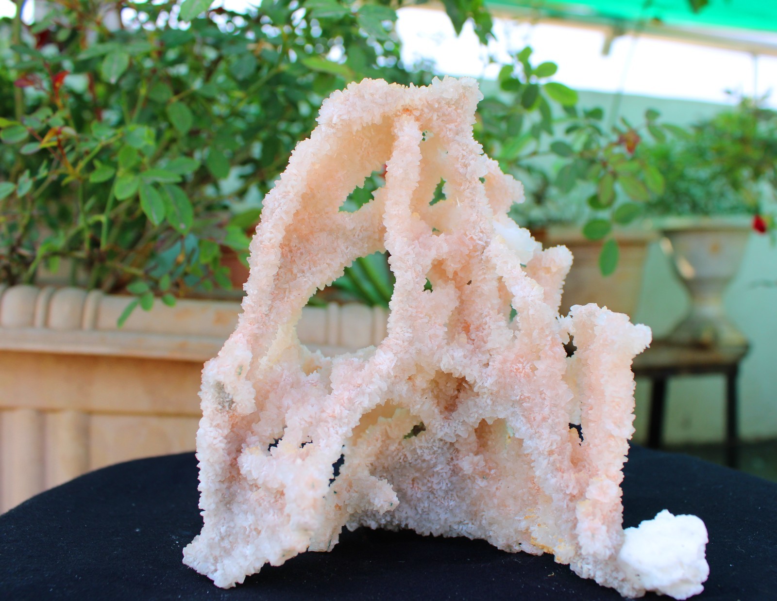 Apophyllite Crystals With Chalcedony Coral Minerals Specimen #A9