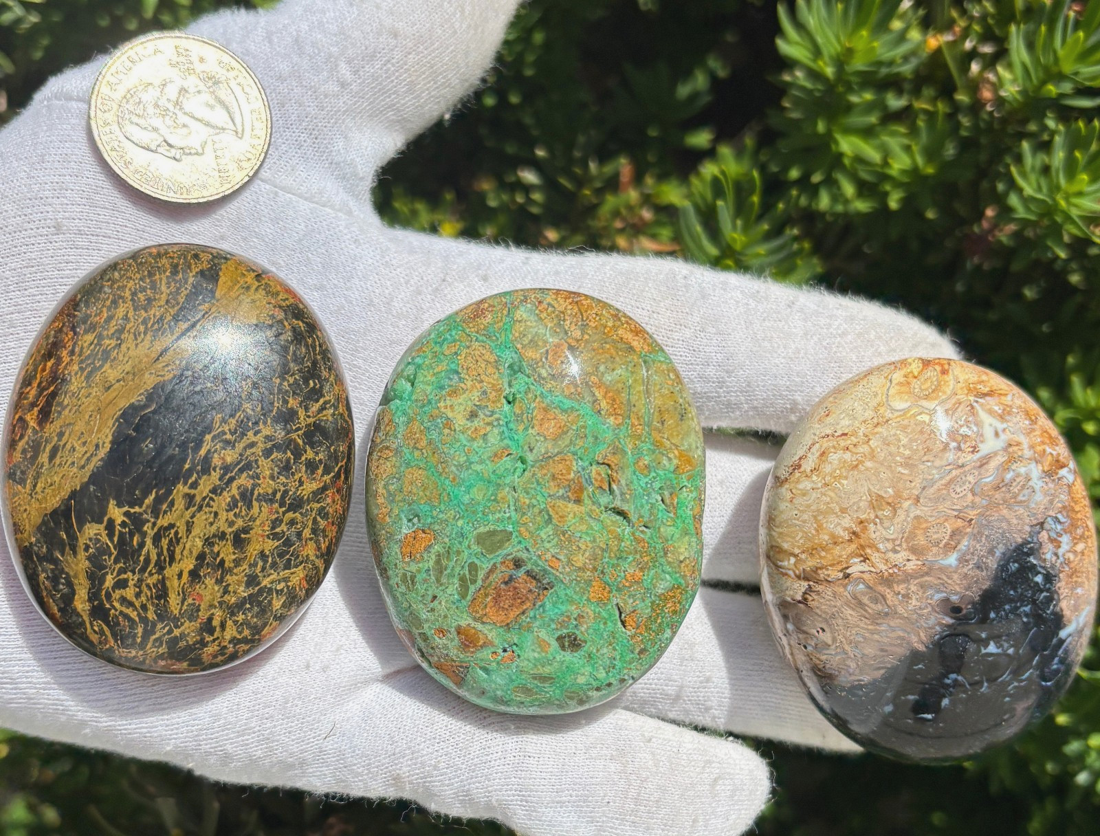 LOT MIZONE OPAL/GREEN SMITHSONITE/PALM ROOT PALMSTONES PALM STONES STONE