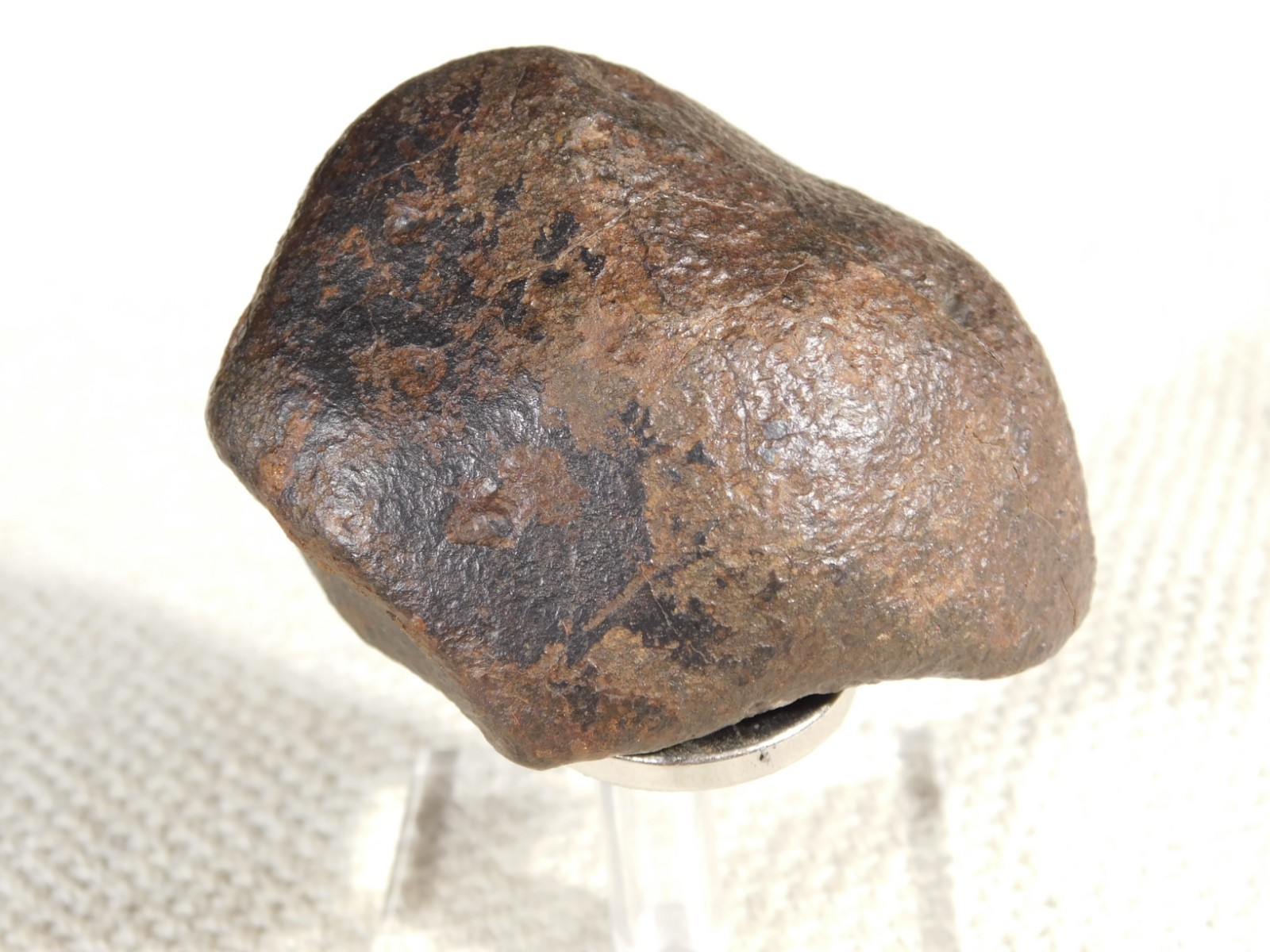 Nice! and 100% Natural Stony METEORITE FELL in Libya 181gr