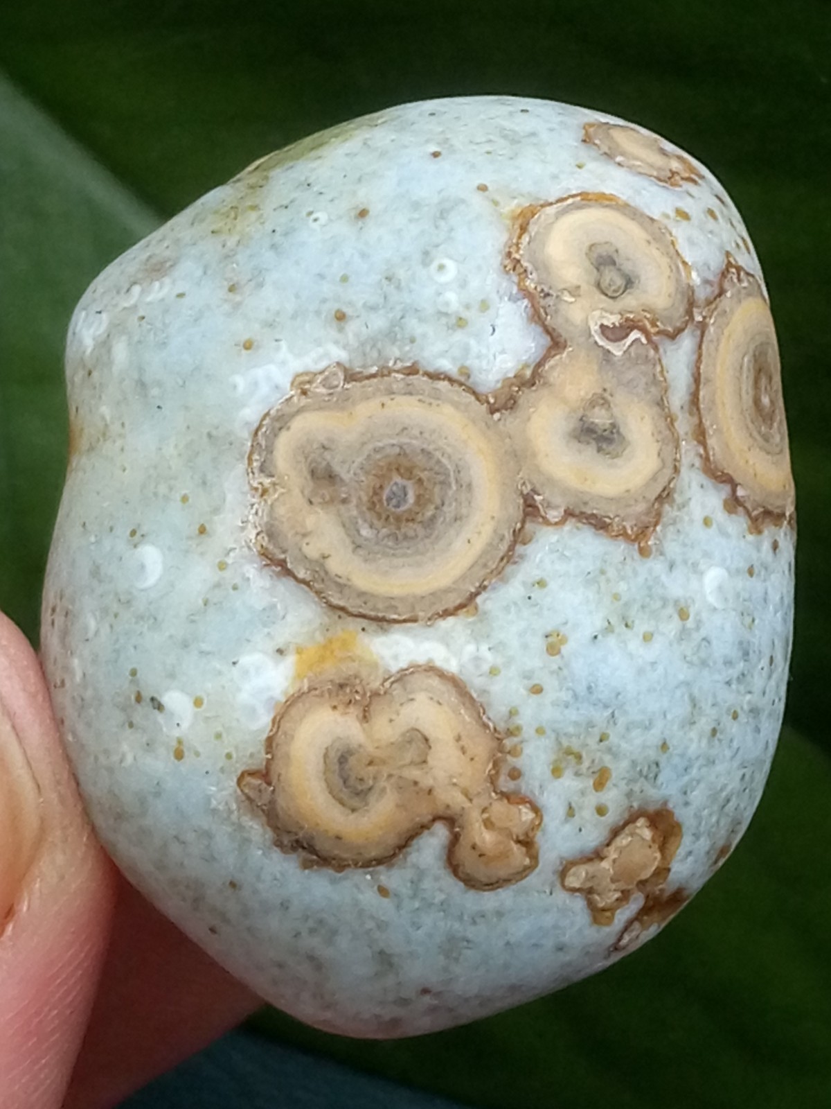 36mm Beautiful Natural Gobi agate eye agate stone collection
