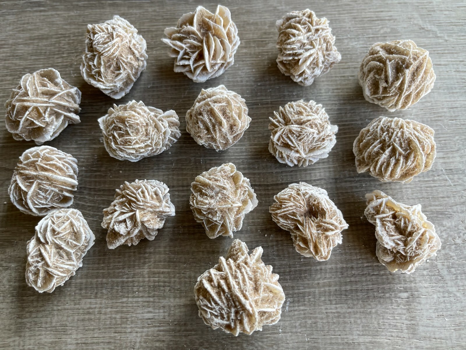 Desert Rose Selenite, 1.25-1.5 Inch Desert Gypsum Rose, Wholesale Bulk Lot