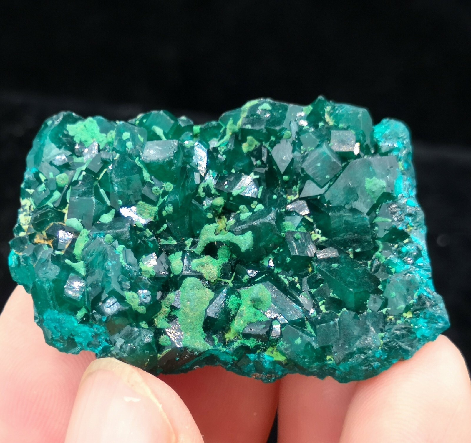 38mm Malachite on Gemmy Dioptase mined from Congo, Natural Mineral Specimen