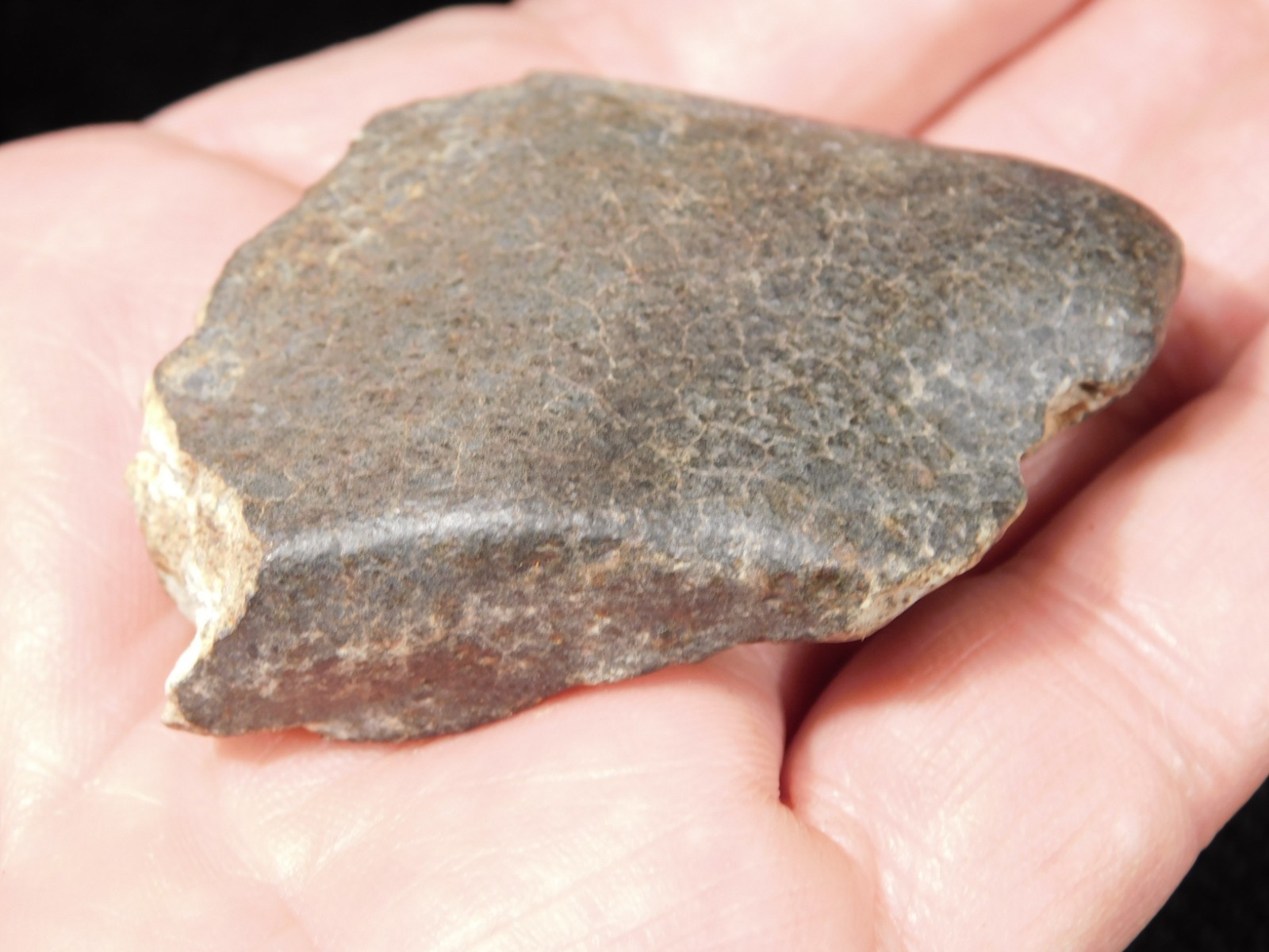 Stony METEORITE with DARK Fusion Crust and Contraction CRACKS 70.2gr