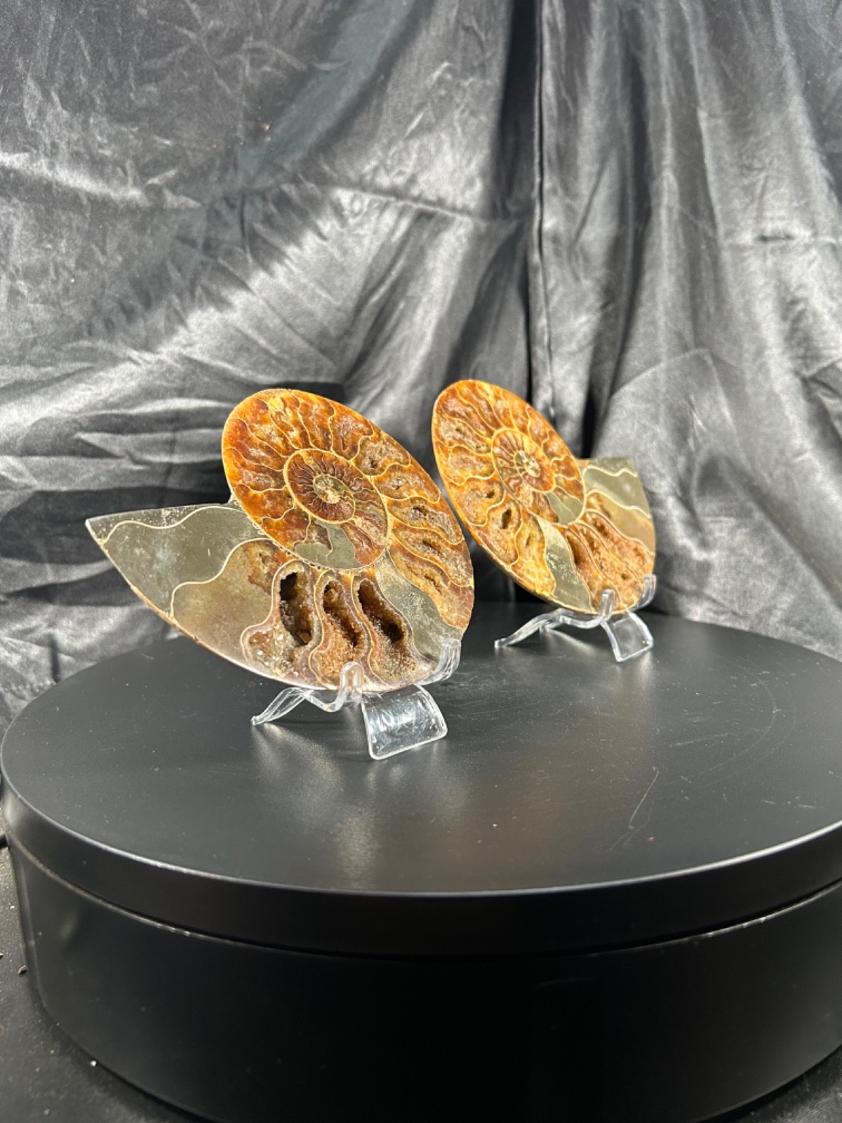 5.44″ Bookend Sliced Ammonite With Acrylic Stands 1lb 1.3 oz (190 grams)