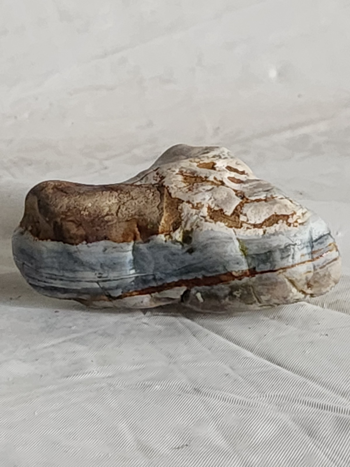 Lake Superior Agate Wisconsin 5.6 oz • Not Polished