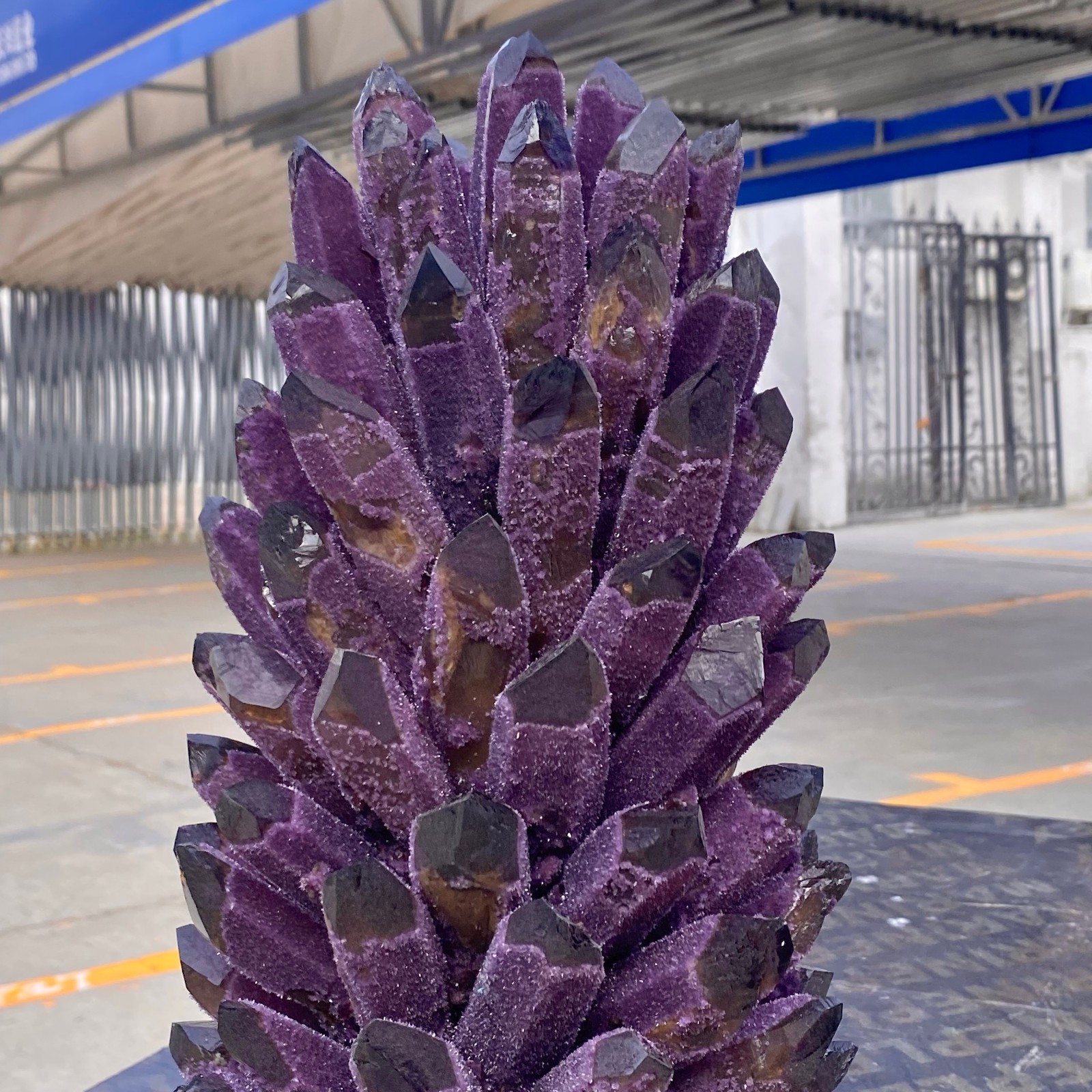 26.7LB Natural Purple Crystal Cluster/Flower Shape Mineral Specimen healing