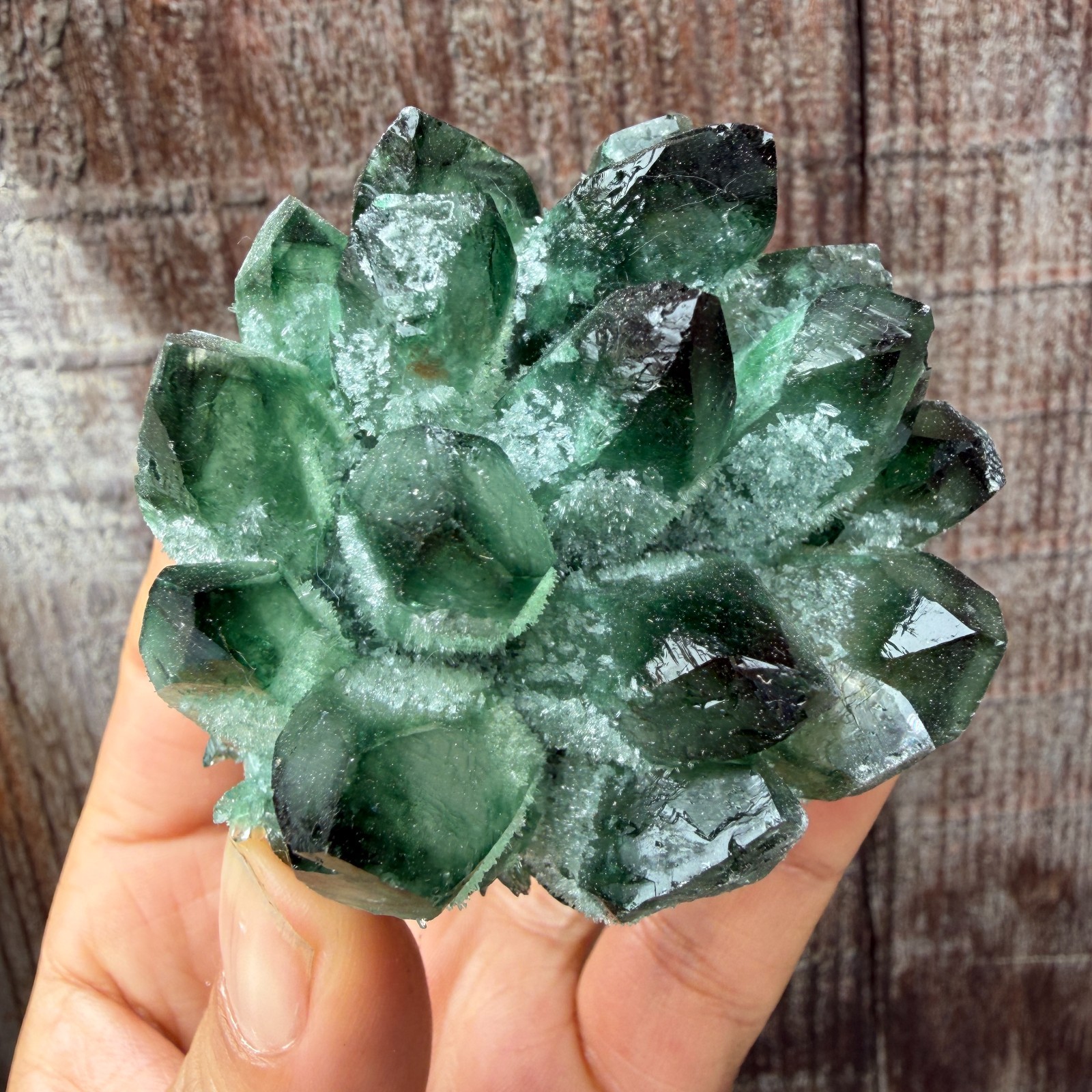 New Find green Phantom Quartz Crystal Cluster Mineral Specimen Healing 200g+ 1pc