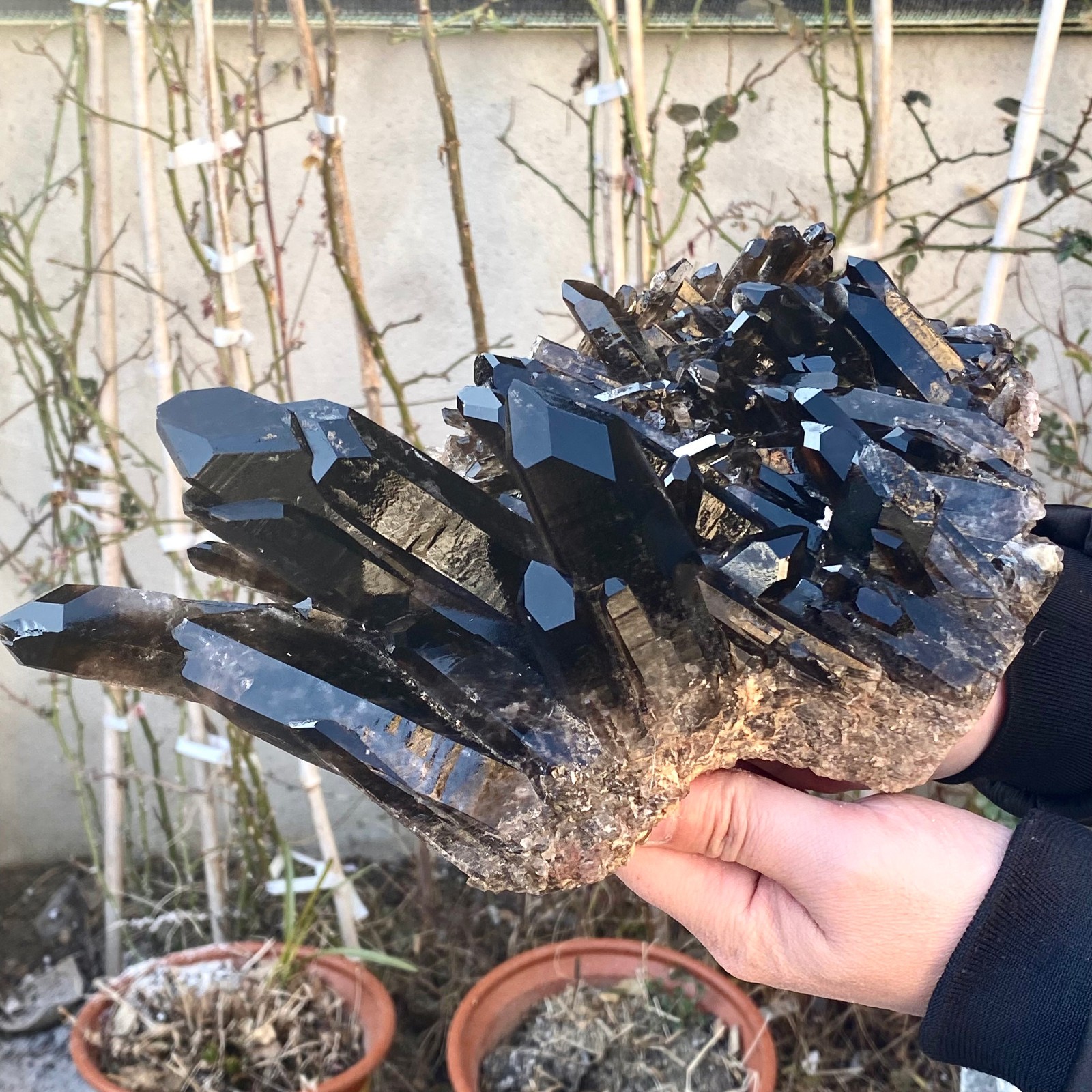 5.25LB Large Natural black Quartz Crystal Cluster Rough Specimen Healing Stone.