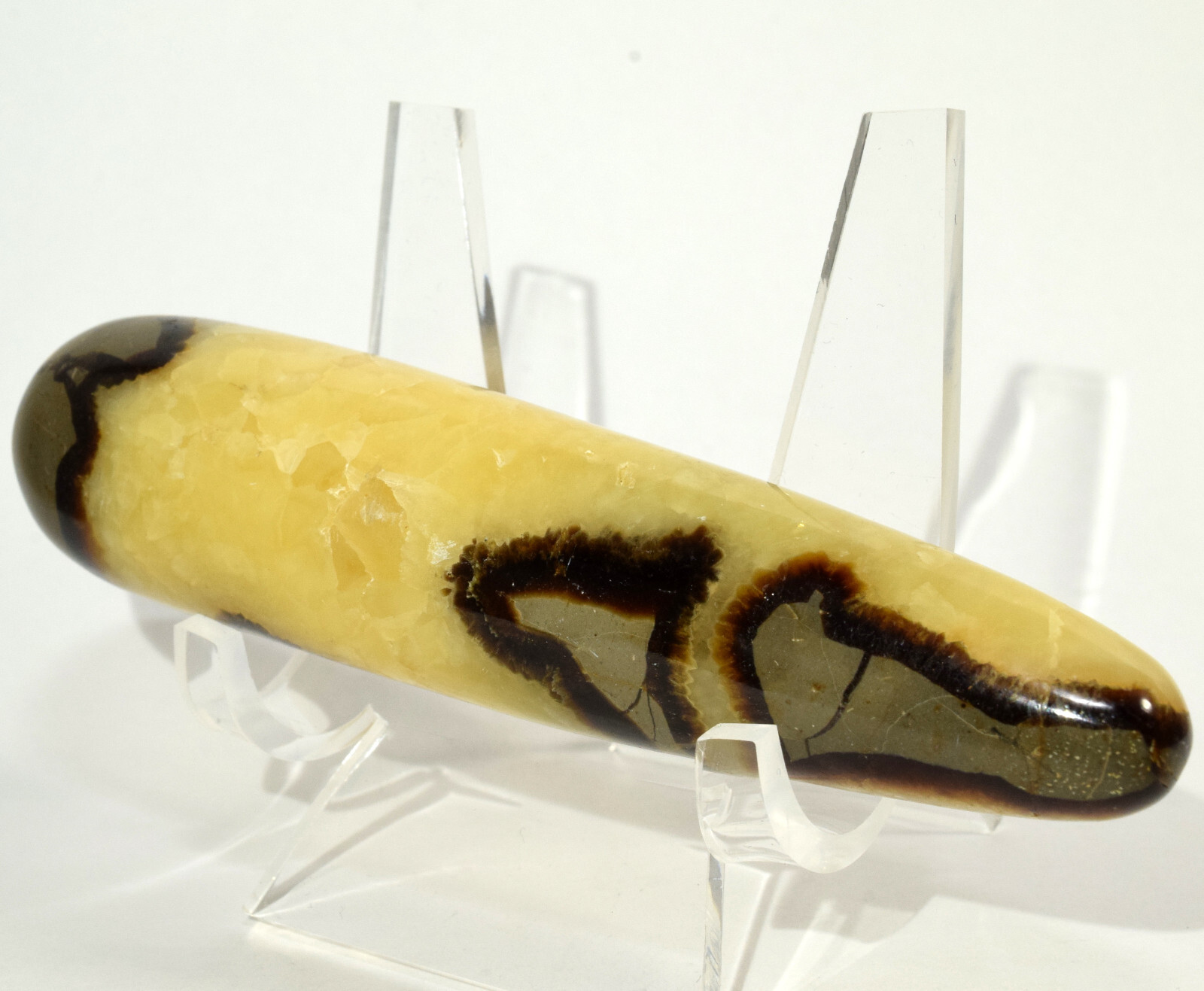 4.8″ Septarian Dragon Massage Wand Natural Calcite Aragonite Crystal Madagascar