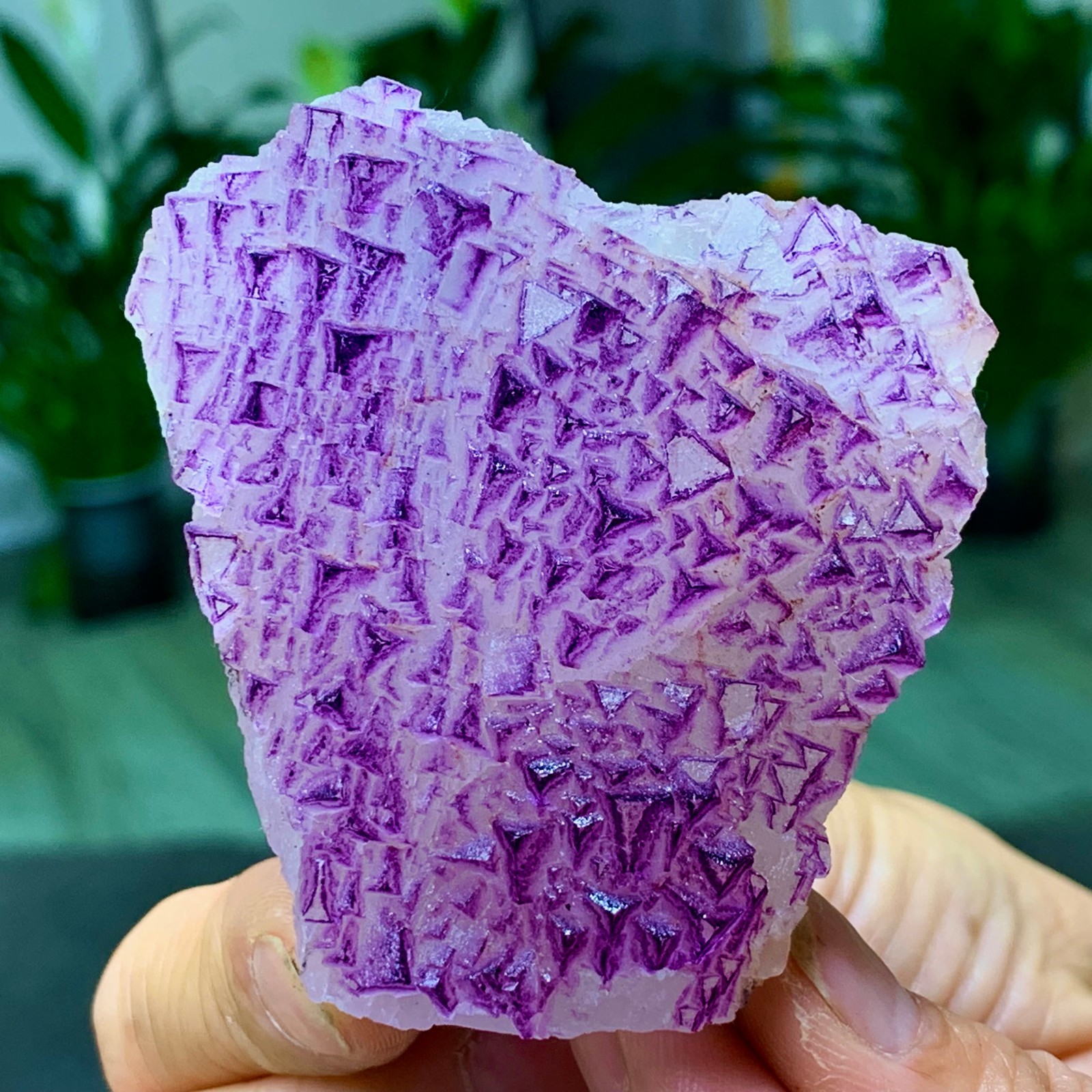 153G Natural fluorite purple edged cubic crystal mineral sample