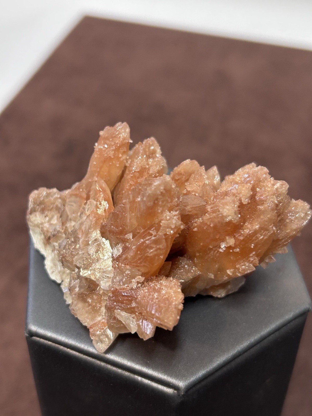 Peachy Salmon Orange Calcite on Calcite Santa Eulalia Mexico Joseph Simon