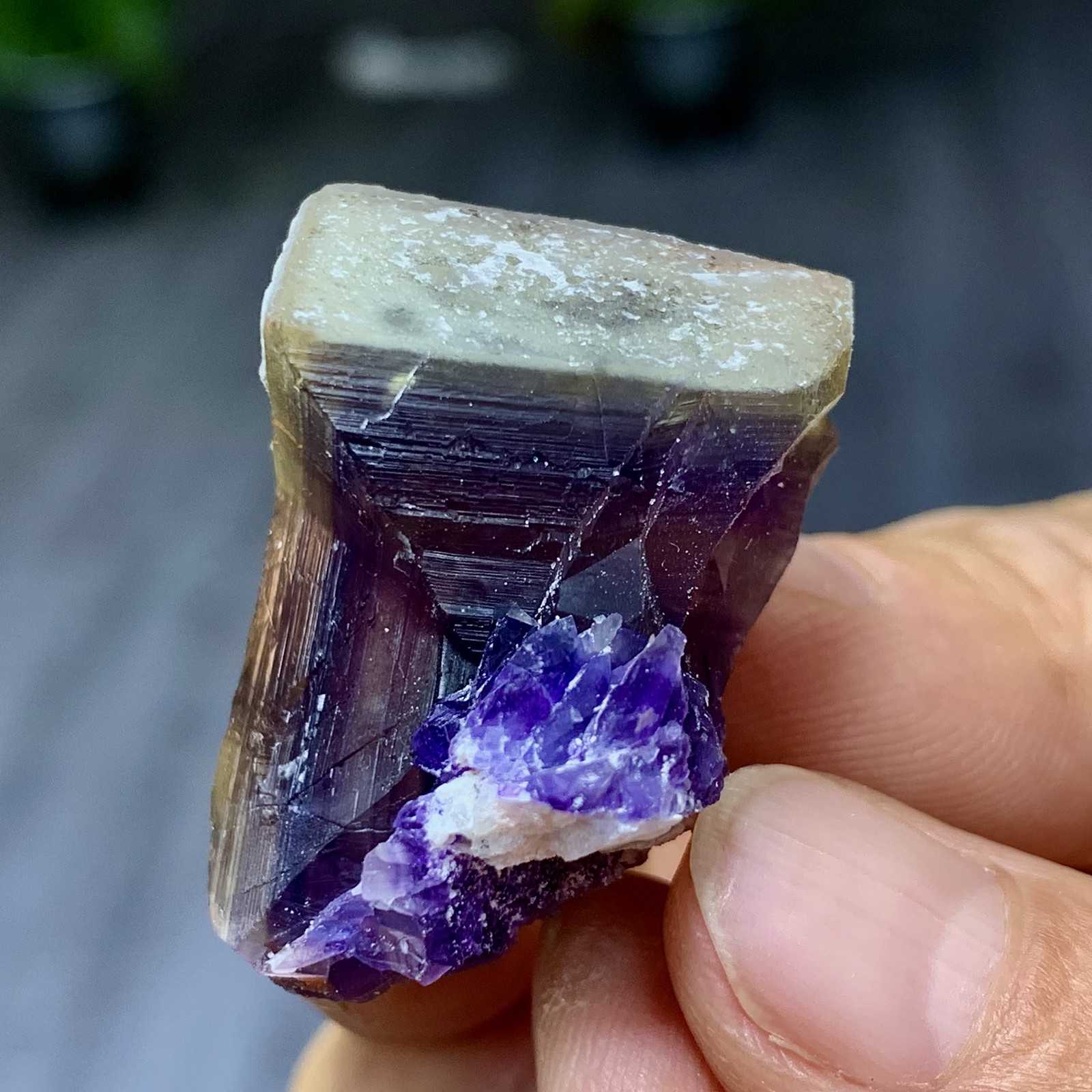 23G Rare transparent purple cubic fluorite mineral crystal sample/China