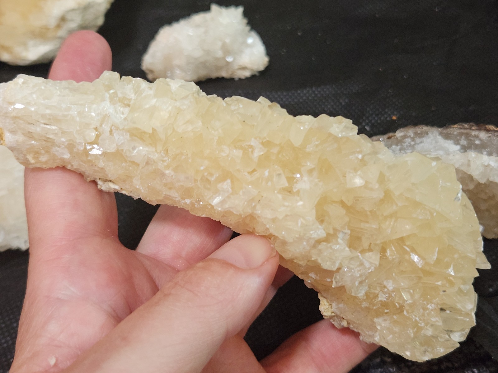 Calcite Crystal Collection 5 pieces from Florida LOT Honey Clusters UV Mineral