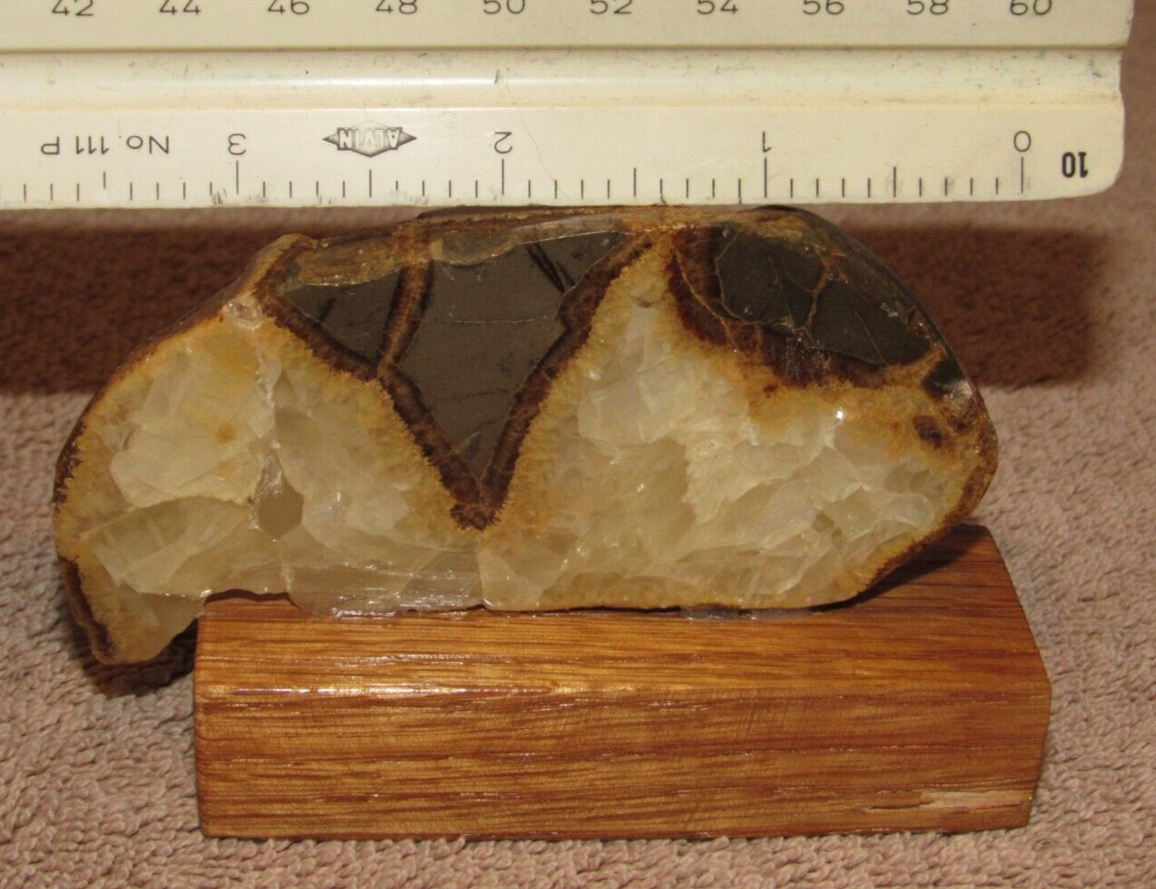 Septarian Nodule Mineral Specimen on Wooden Base – Mt. Carmel, Utah UT #2
