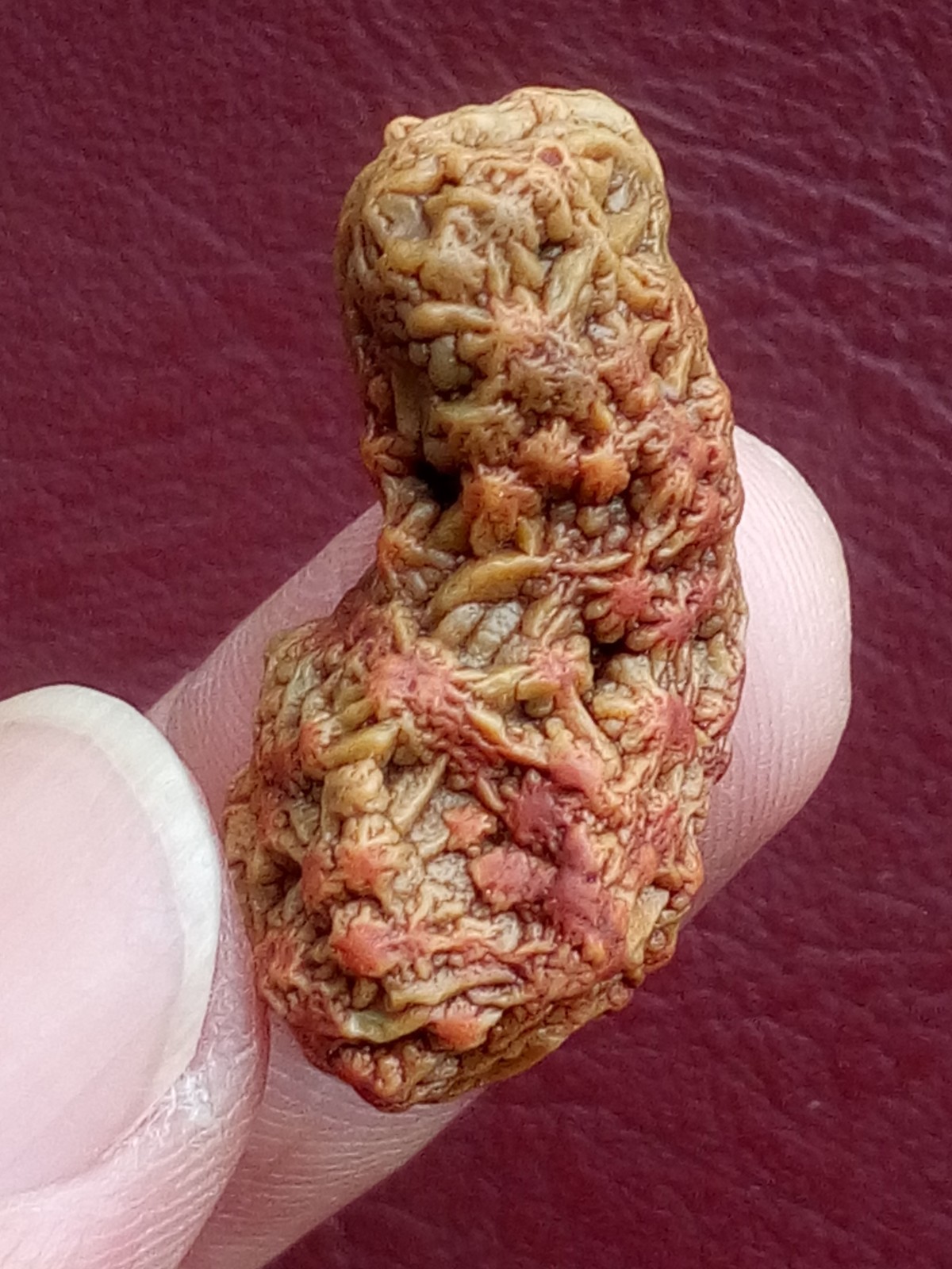 5 pieces Beautiful Natural GoBi agate veins agate Landscape stone