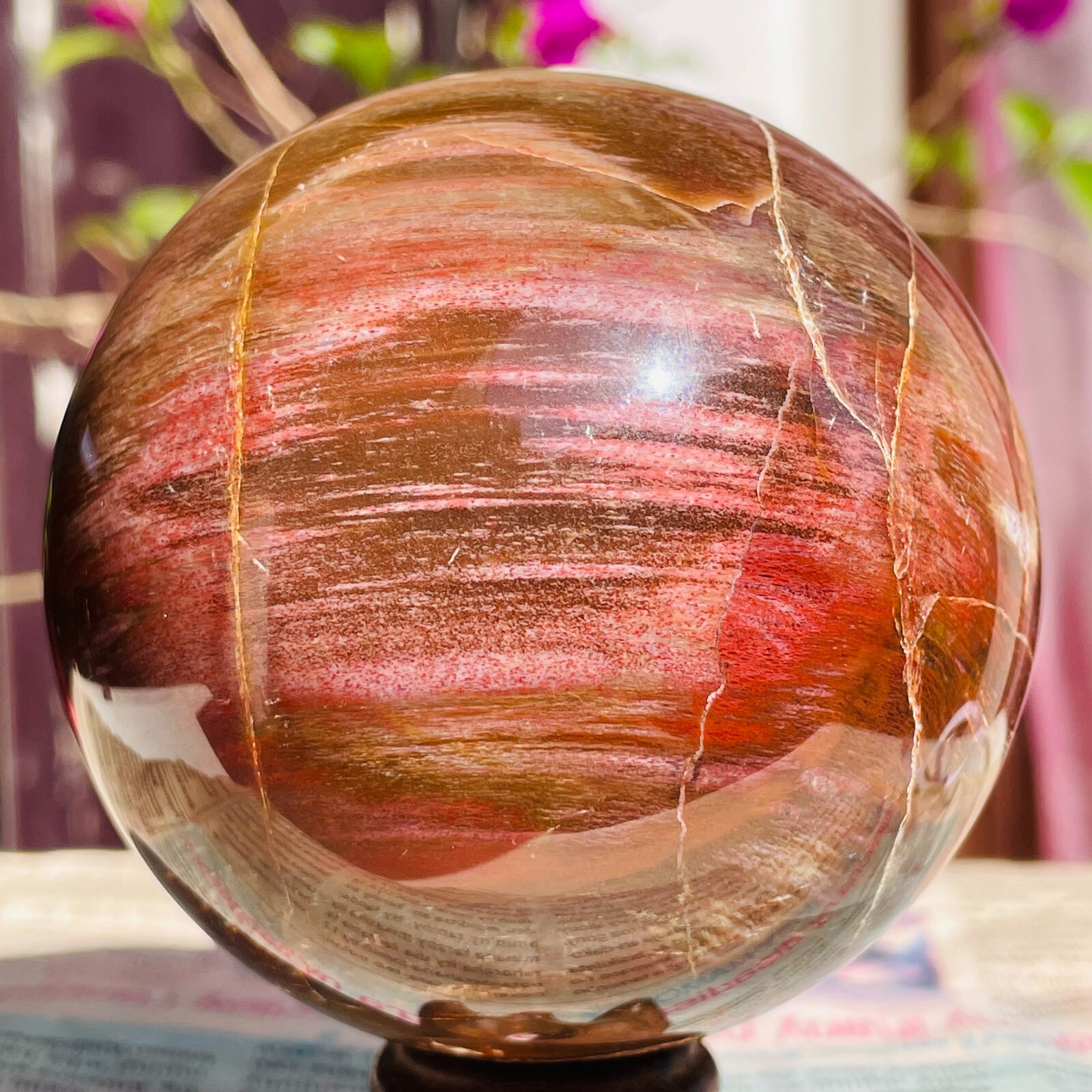 640g Natural Red Petrified Wood Crystal Ball Fossil Polished Sphere Specimen