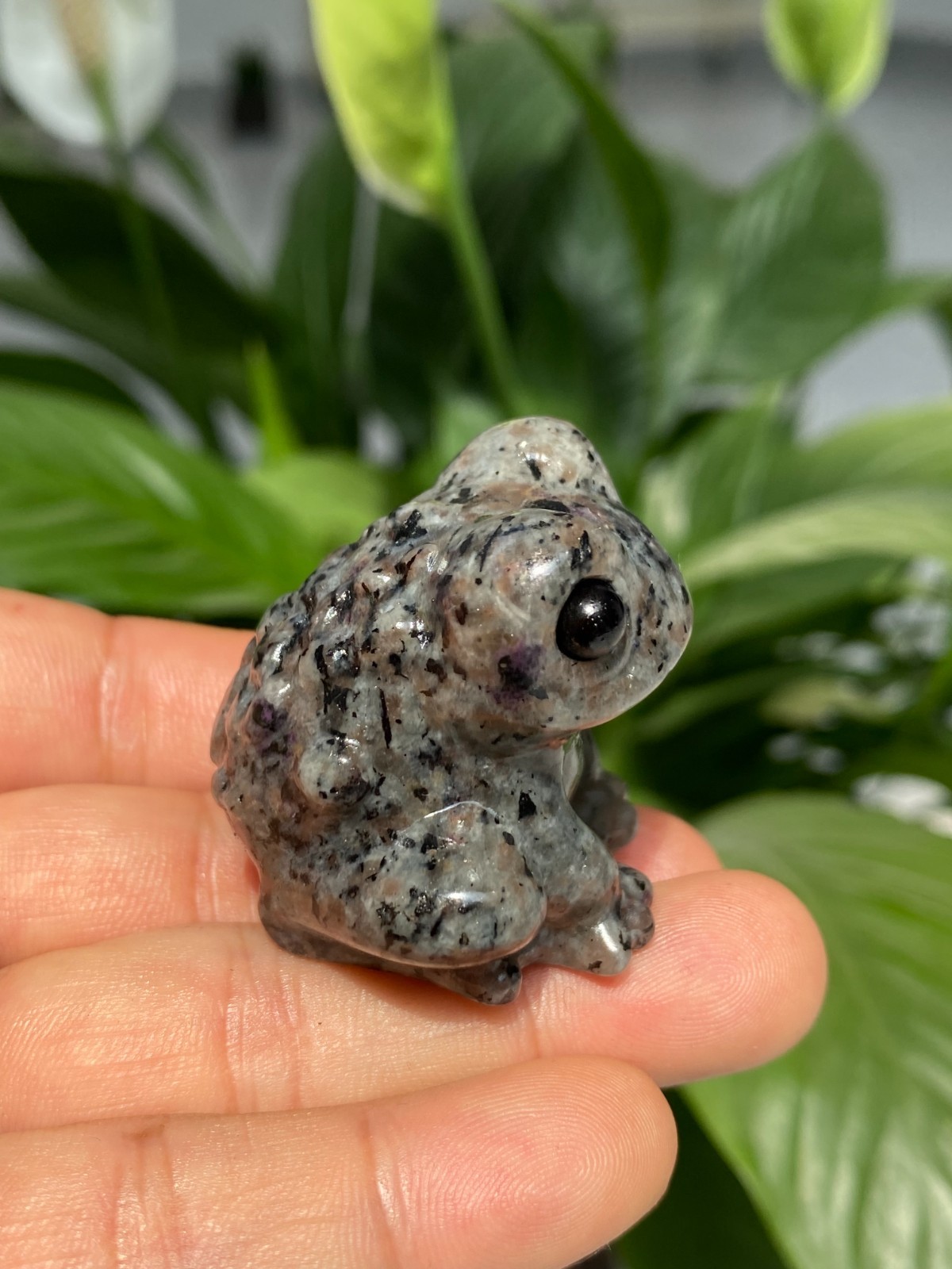 1pc Natural Yooperlite Quartz Carved Crystal Frog skull reiki healing gift Decor