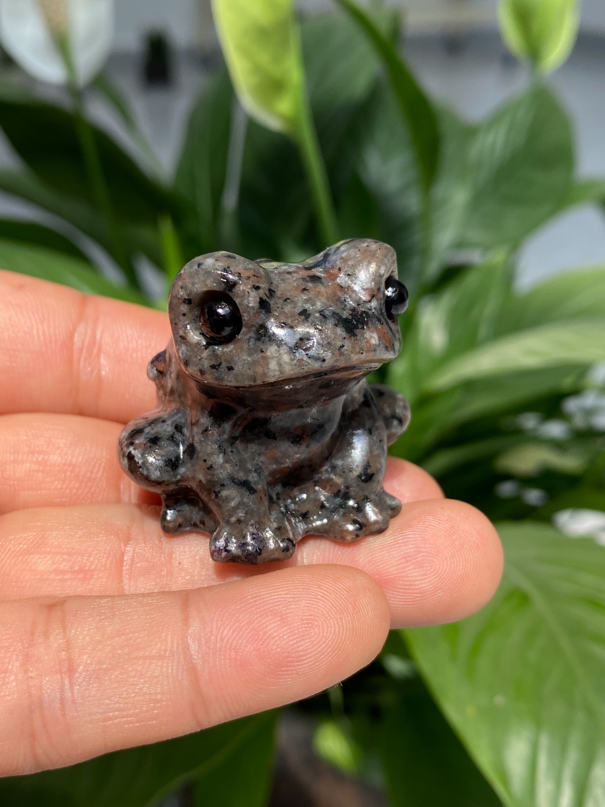 1pc Natural Yooperlite Quartz Carved Crystal Frog skull reiki healing gift Decor