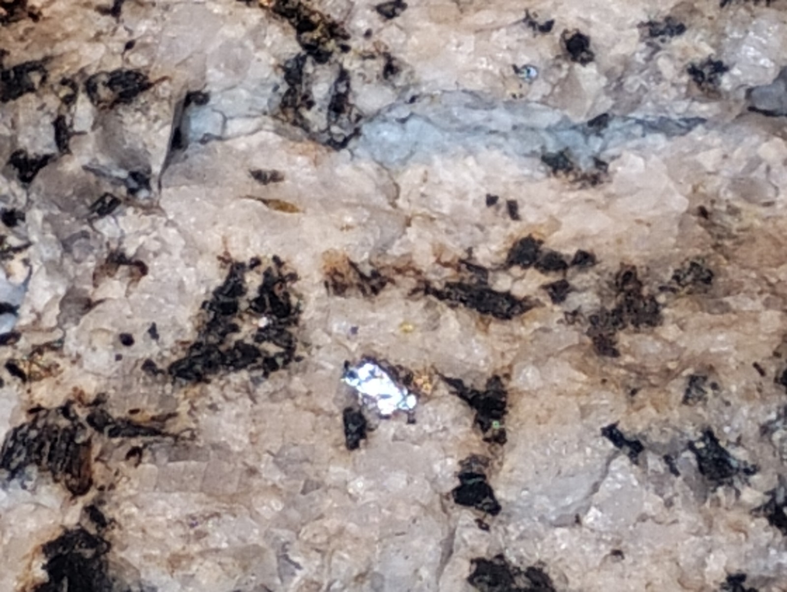 Polymetallic Ore Matrix Quartz, Pyrite & Silver/Black Sulfides – Blue Mountain?