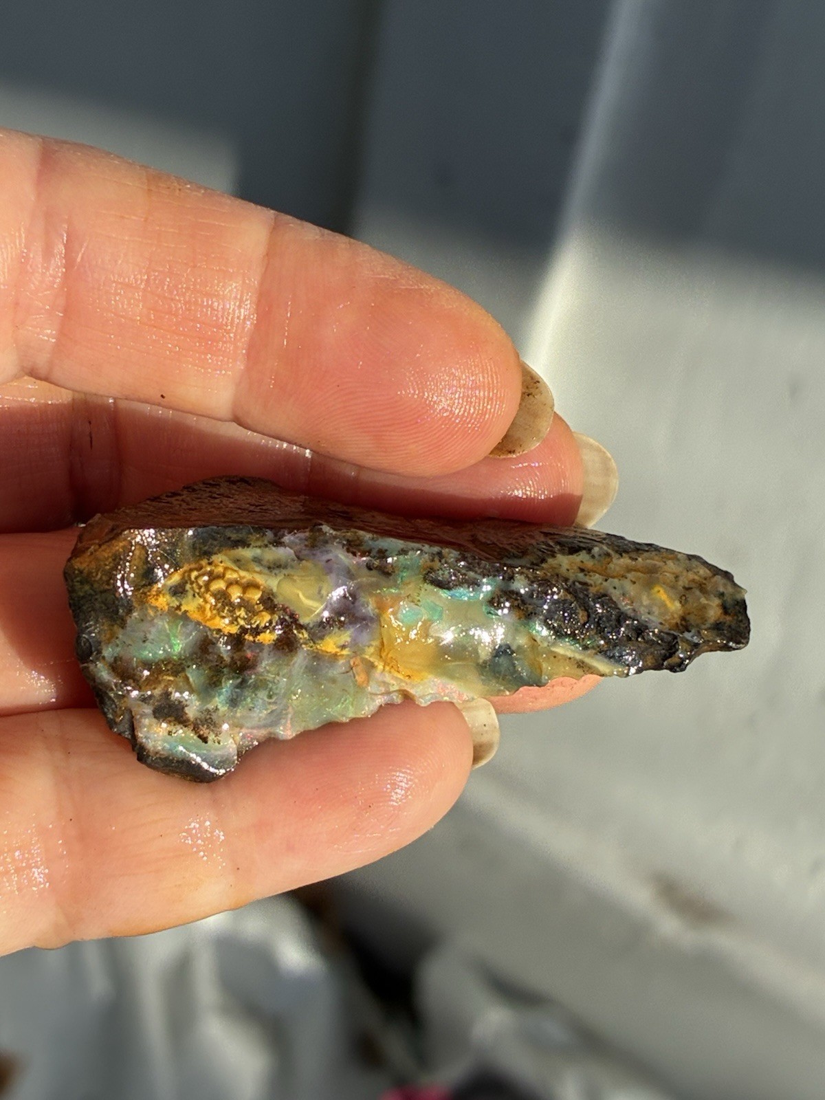 Beautiful 89ct Large Australian Boulder Opal Rough Loose Multicolor Specimen J