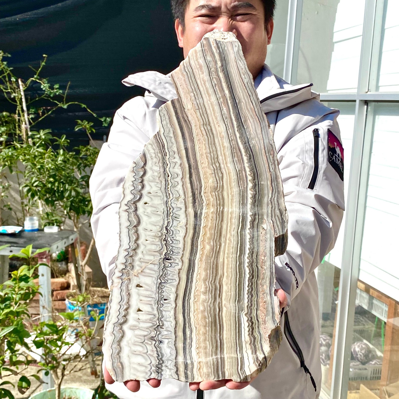 6LB Natural agate, zebra stone, crystal mineral, cut and polished in flakes