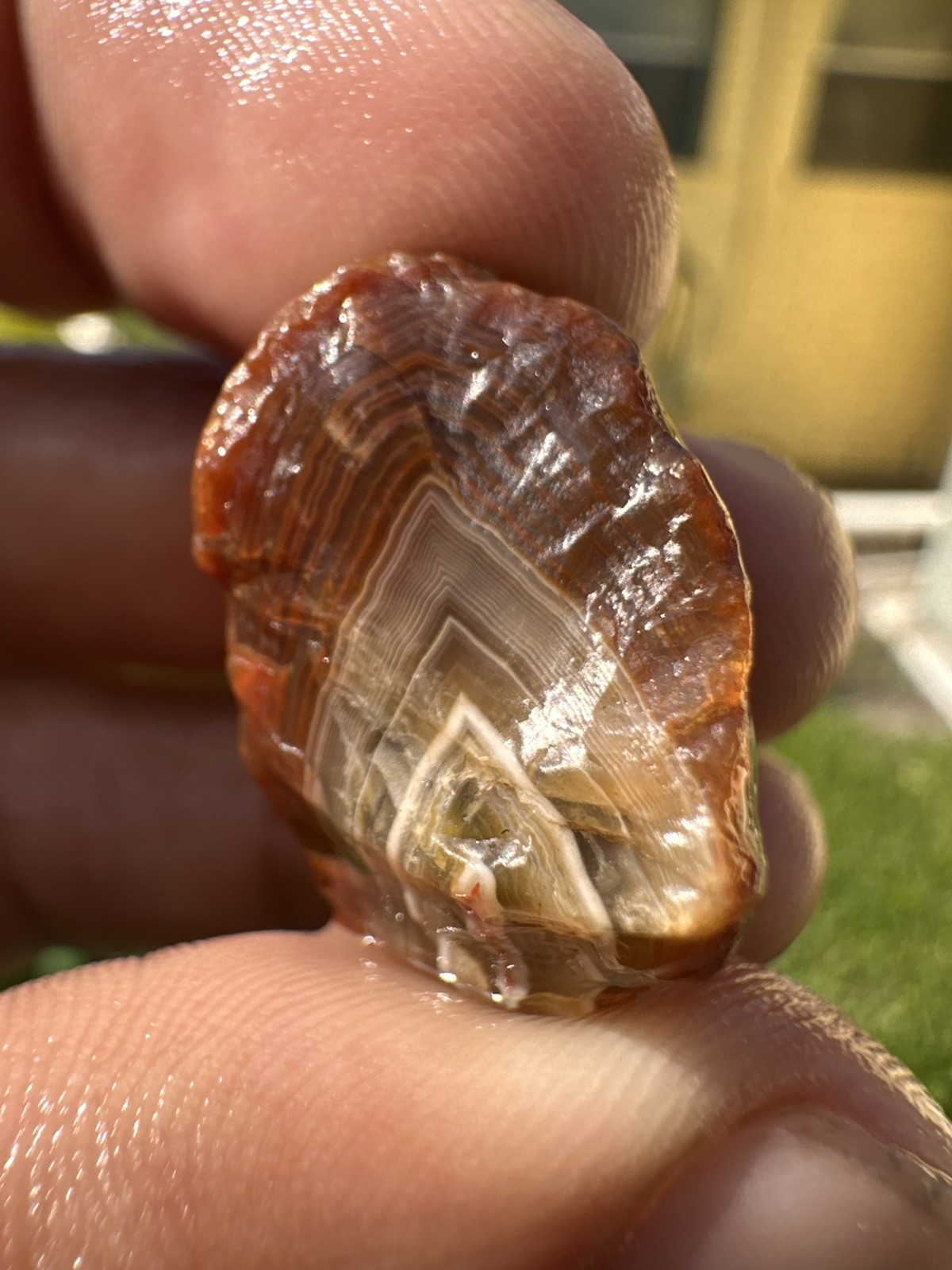 1.75 oz Lake Superior Agate Lapidary Lot 5 Multicolor Beauty’s