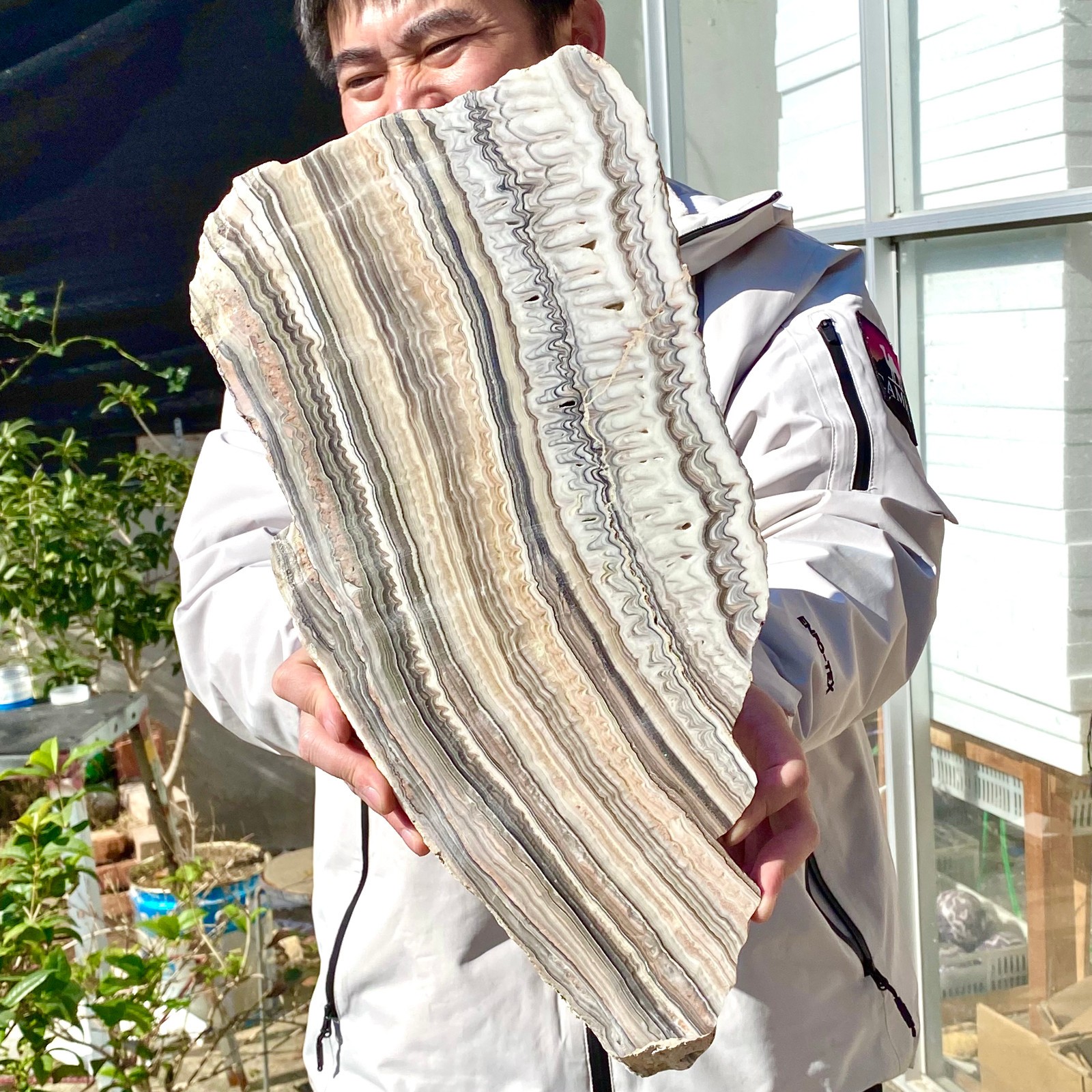 6LB Natural agate, zebra stone, crystal mineral, cut and polished in flakes