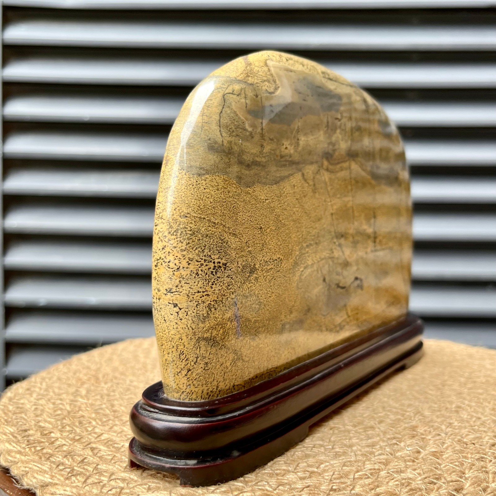 Natural Scenic Stone Display Polished Pattern Art w/ Wood Stand 4.1 lb