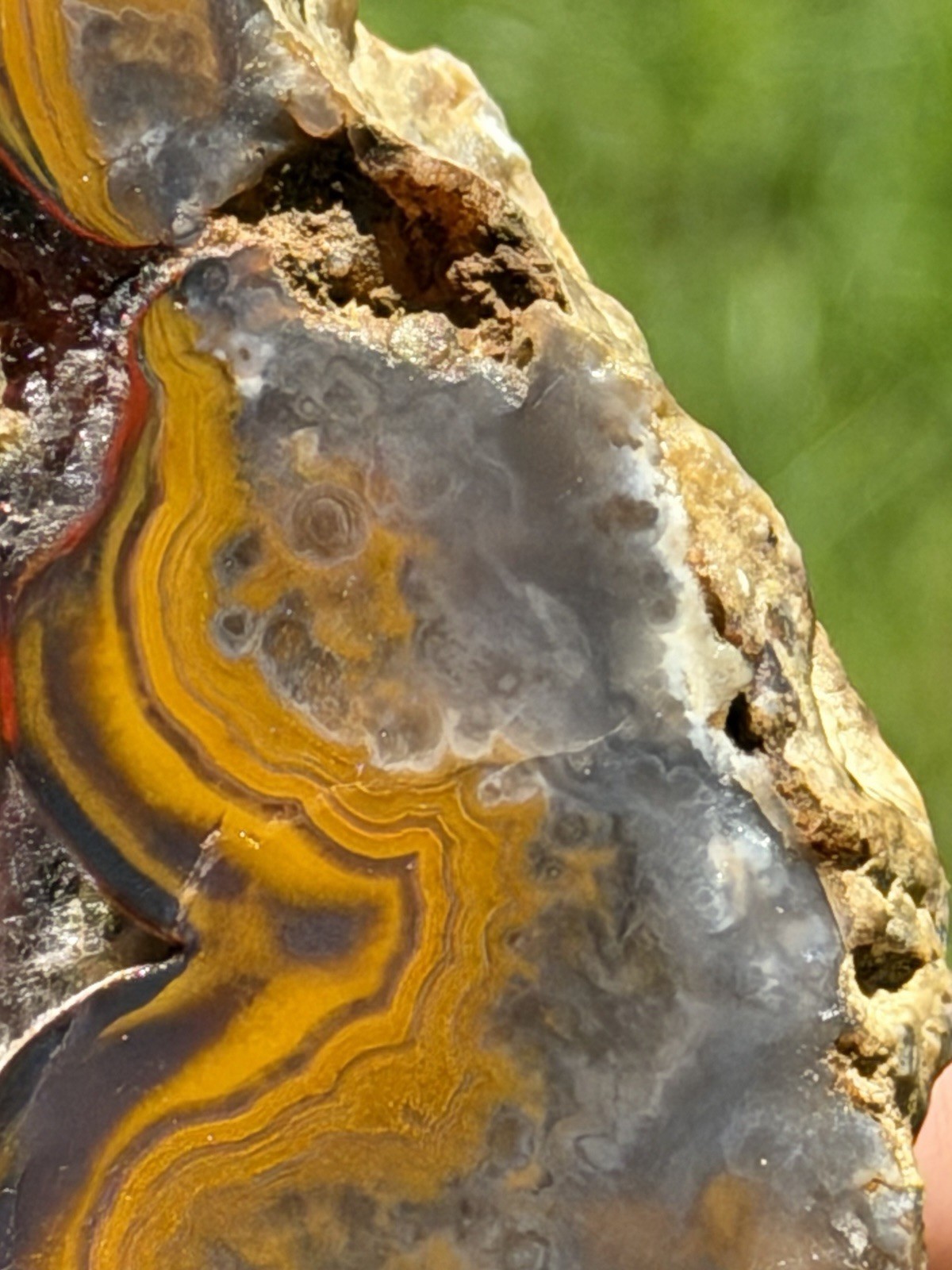 Vibrant Kentucky Agate Specimen – Irvine, KY | Rich Yellow, Red, & Smoky Purple
