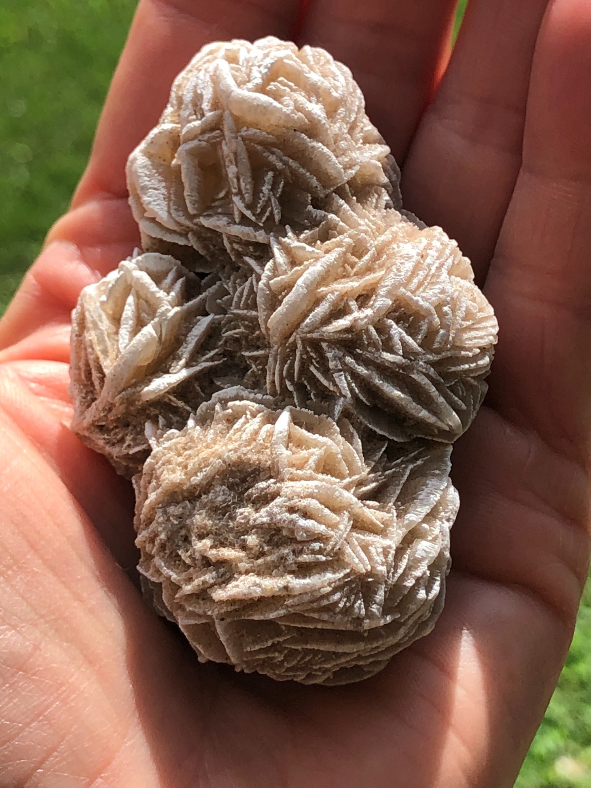 DESERT ROSE SELENITE GYPSUM Crystal Cluster Mineral Specimen 170.6 Grams For All