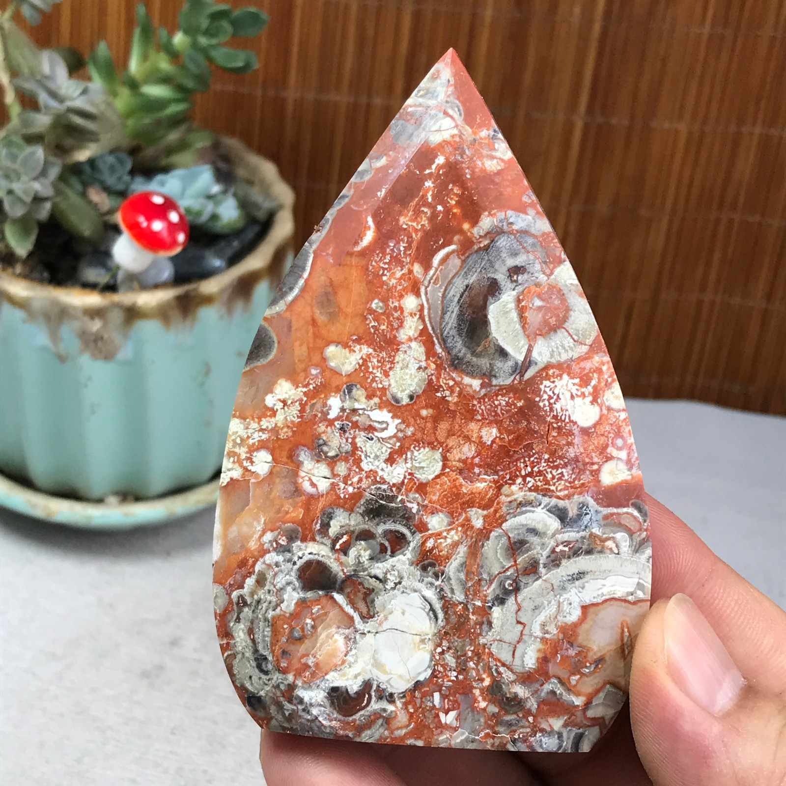 Natural money Mexico agate hand carve leaf Crystal Specimen free standing A6256
