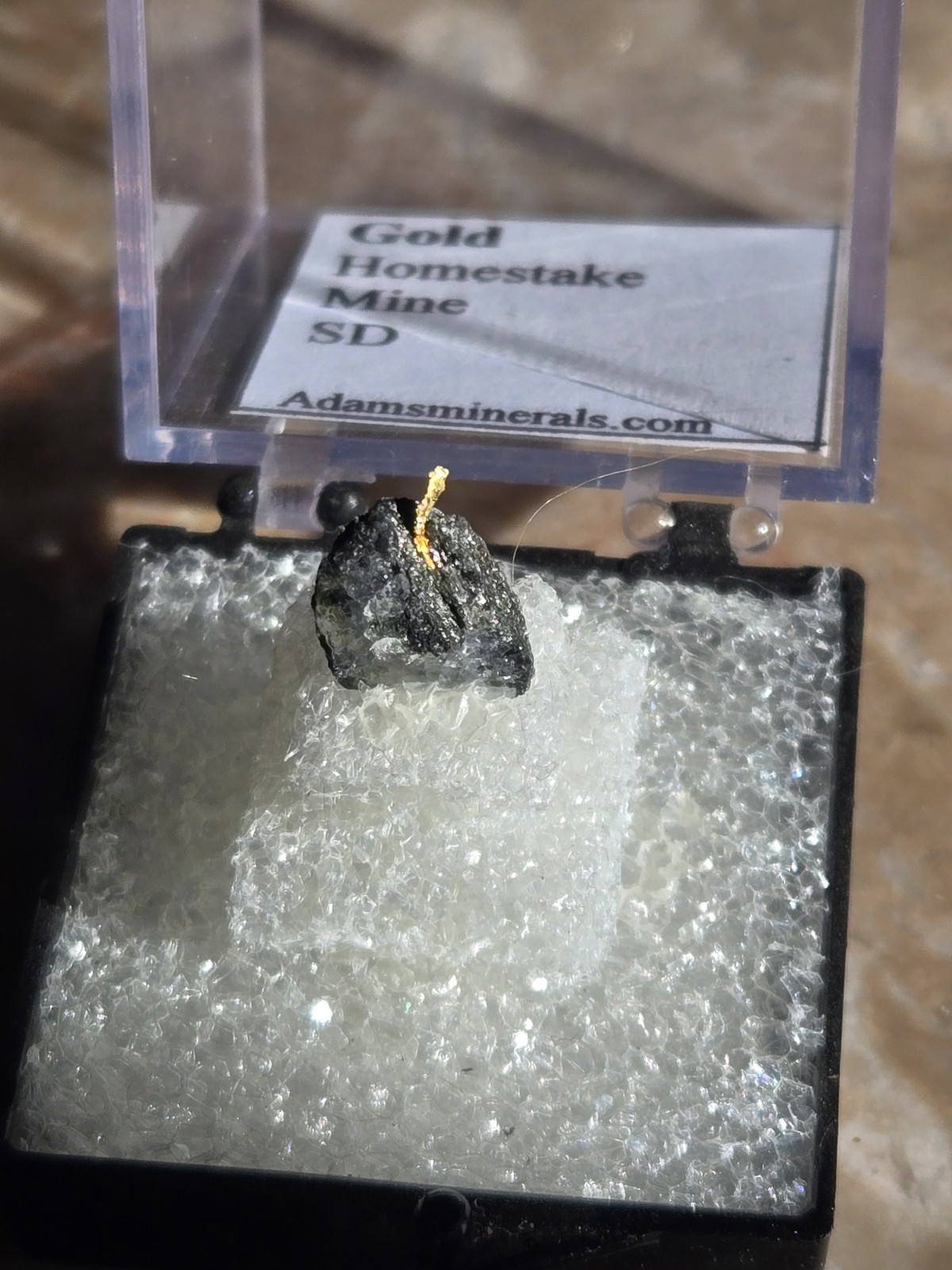 Beautiful Gold Thumbnail specimen